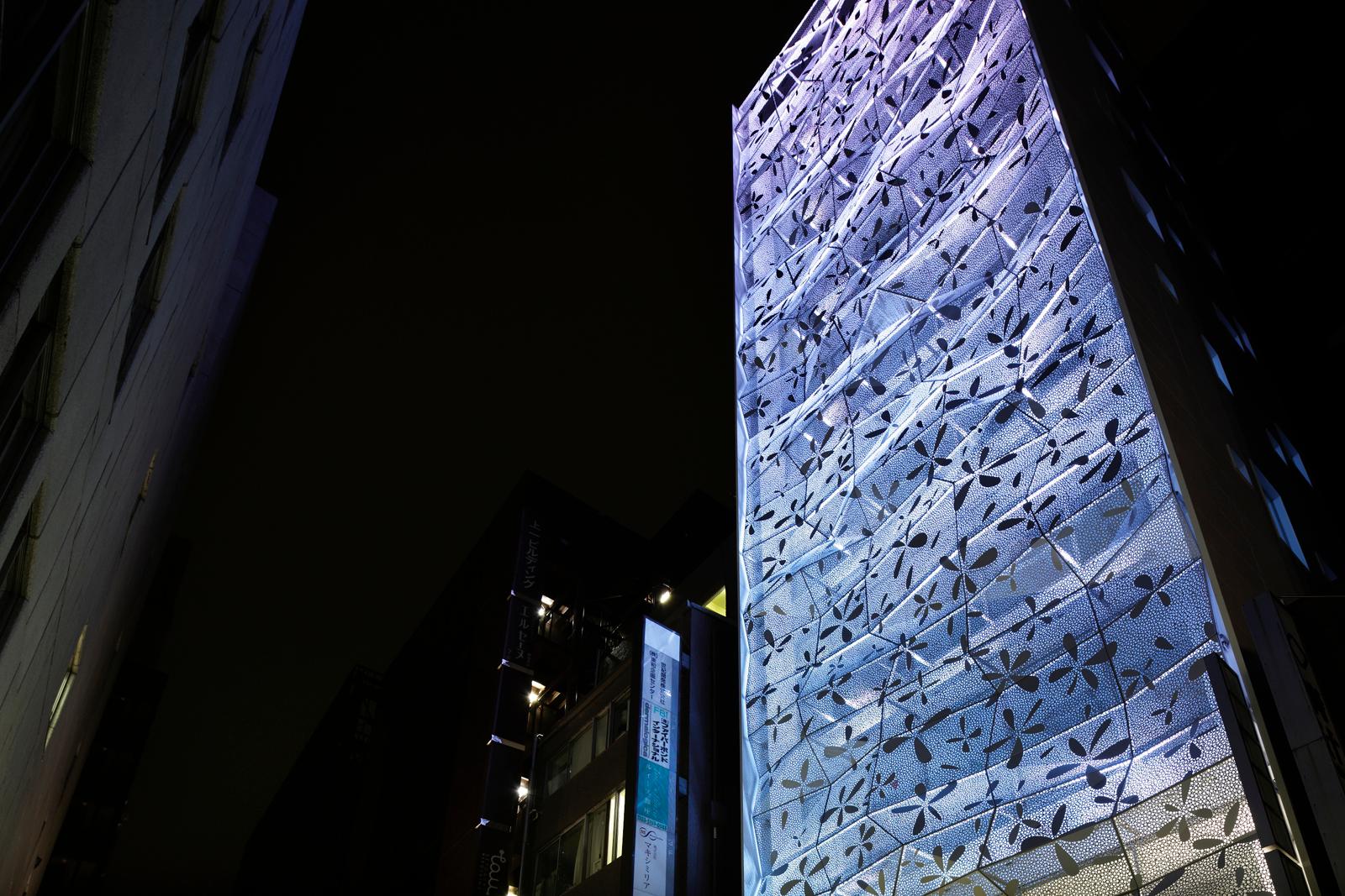 Dear Ginza bldg. Project - image 14