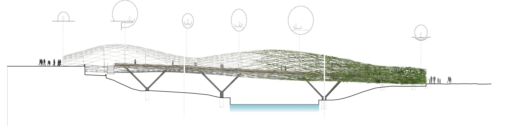 Salford Meadows Competition - image 3