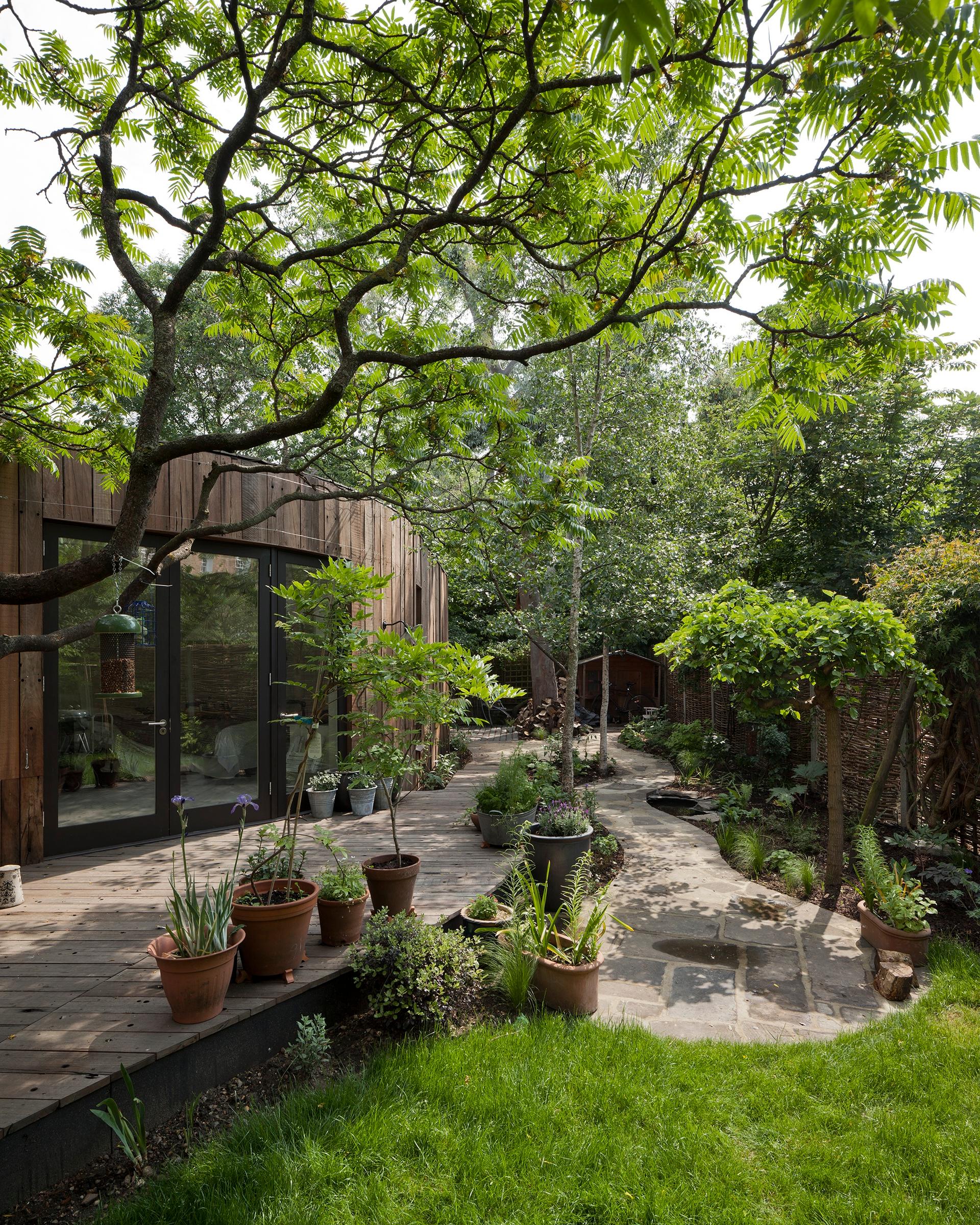 Tree House - image 6