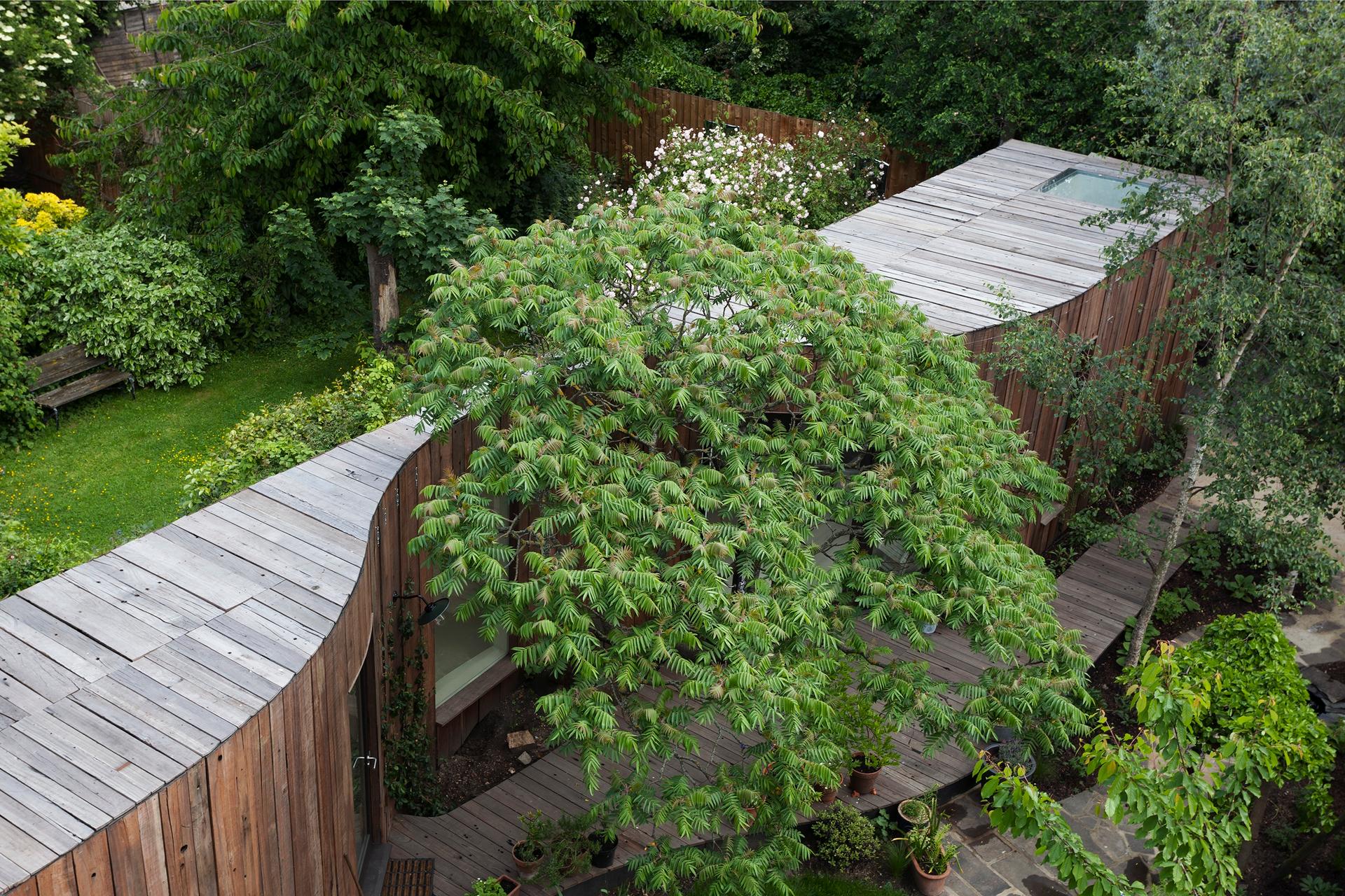 Tree House - image 3