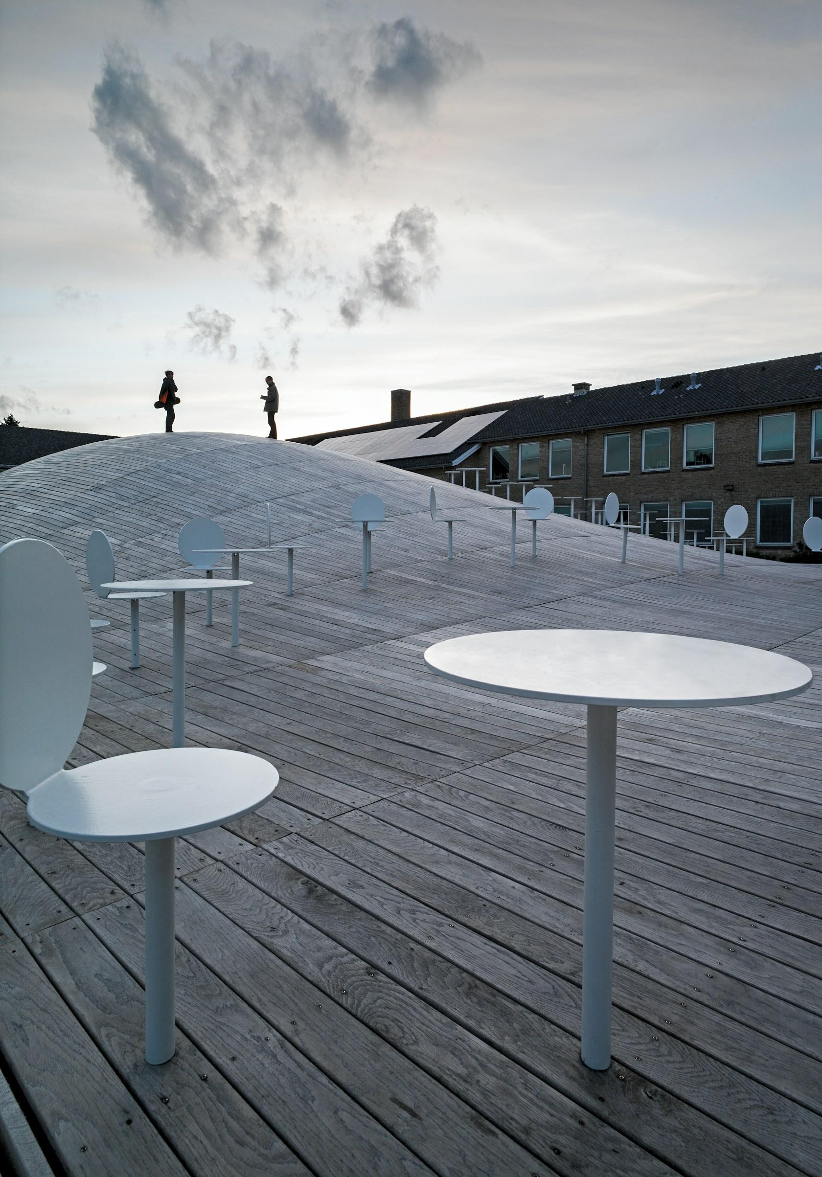 Gammel Hellerup Gymnasium Multi-Purpose Hall - image 11