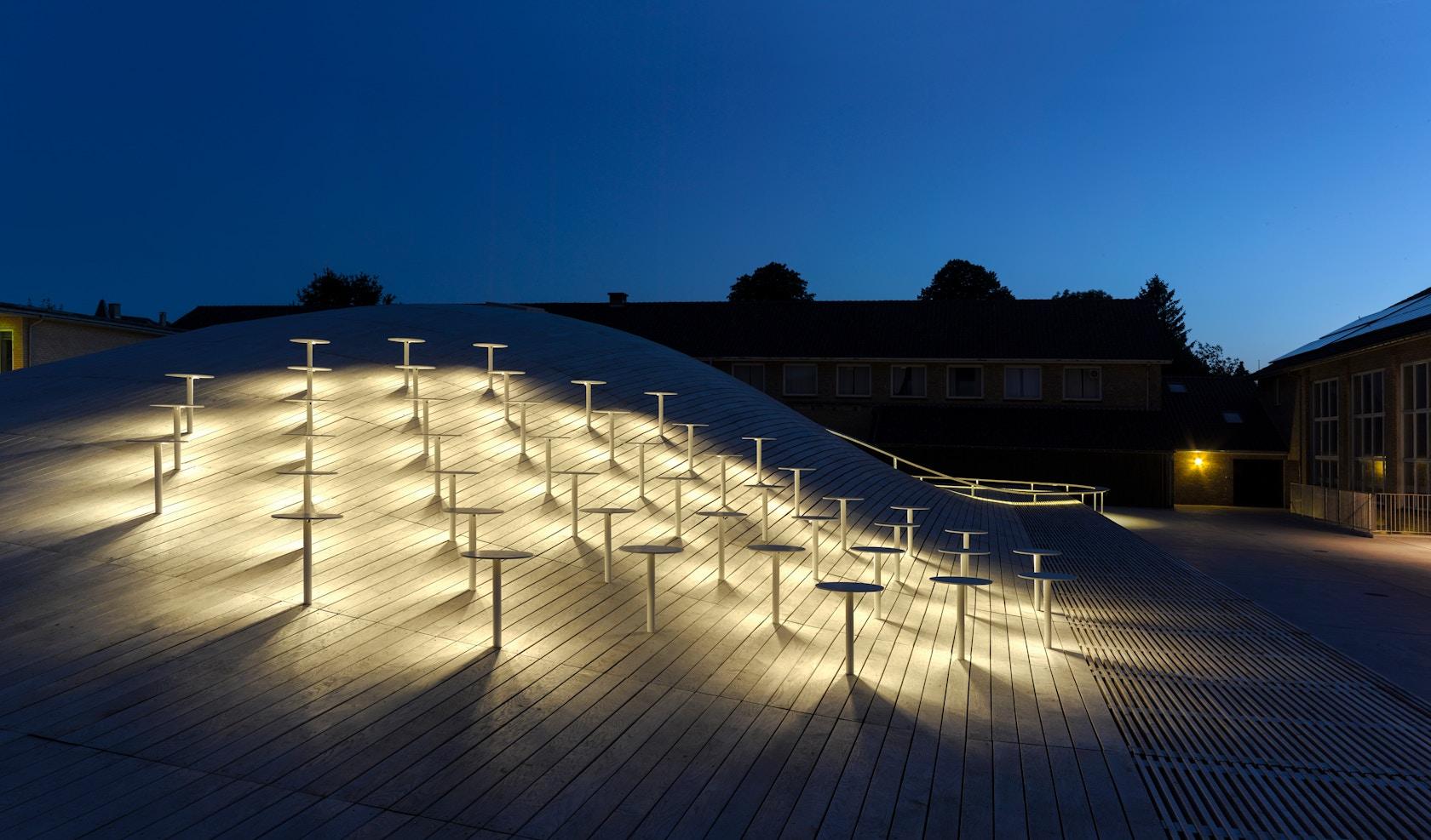 Gammel Hellerup Gymnasium Multi-Purpose Hall - image 32