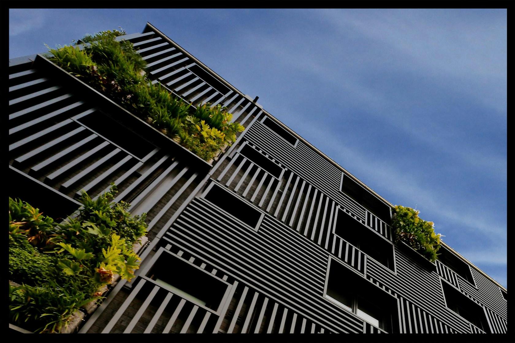 142 Park St - image 4
