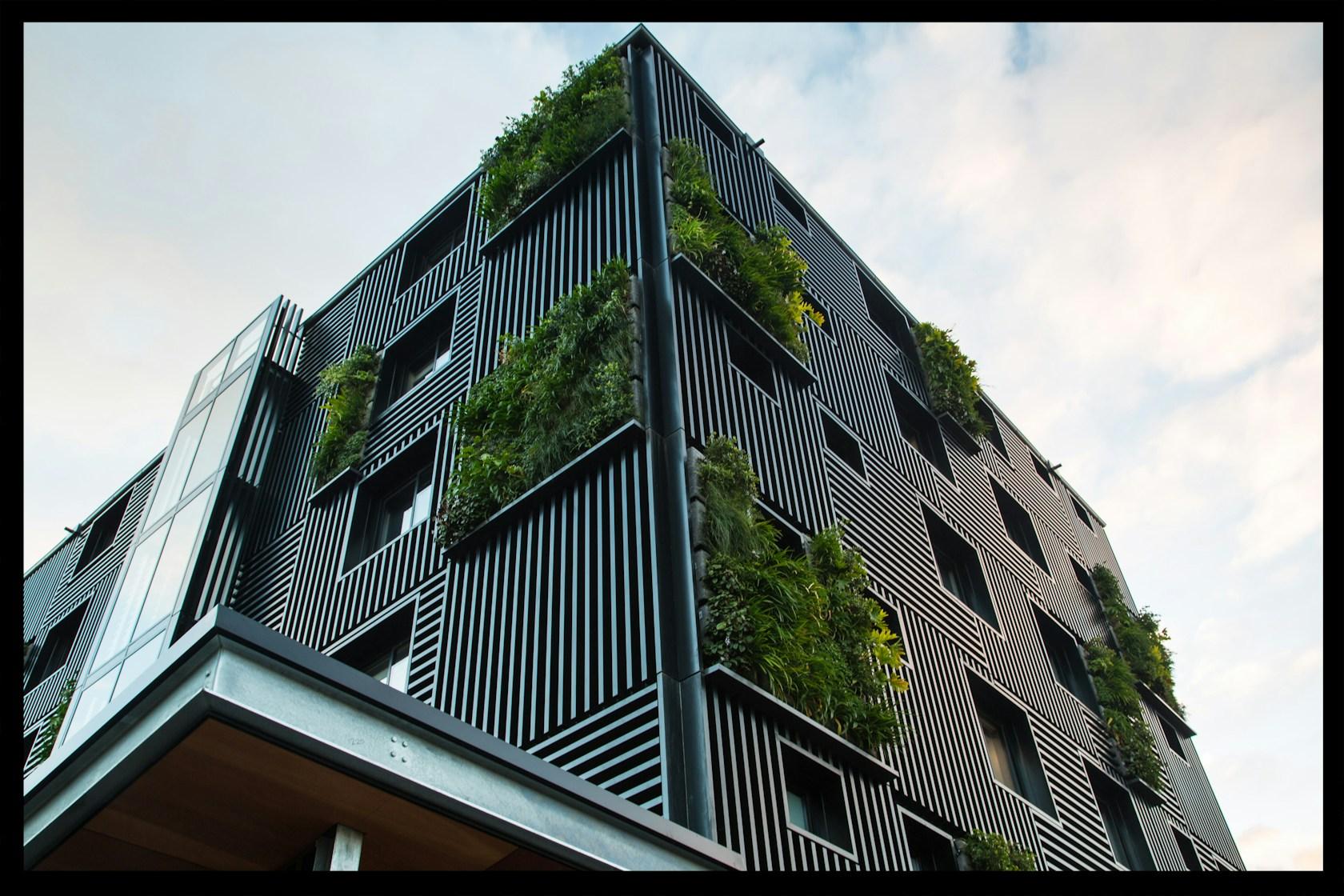142 Park St - image 5