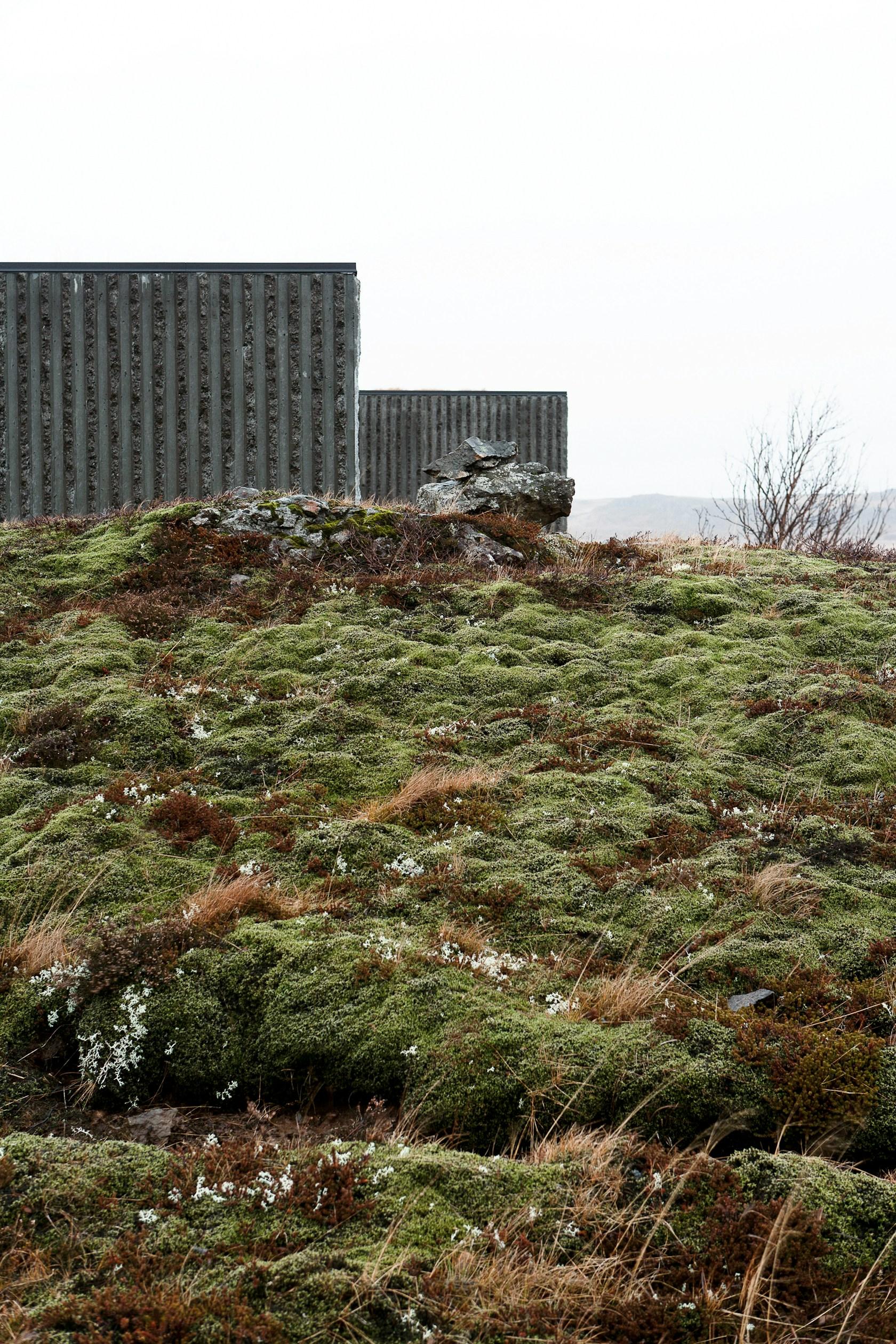 Árborg - image 4