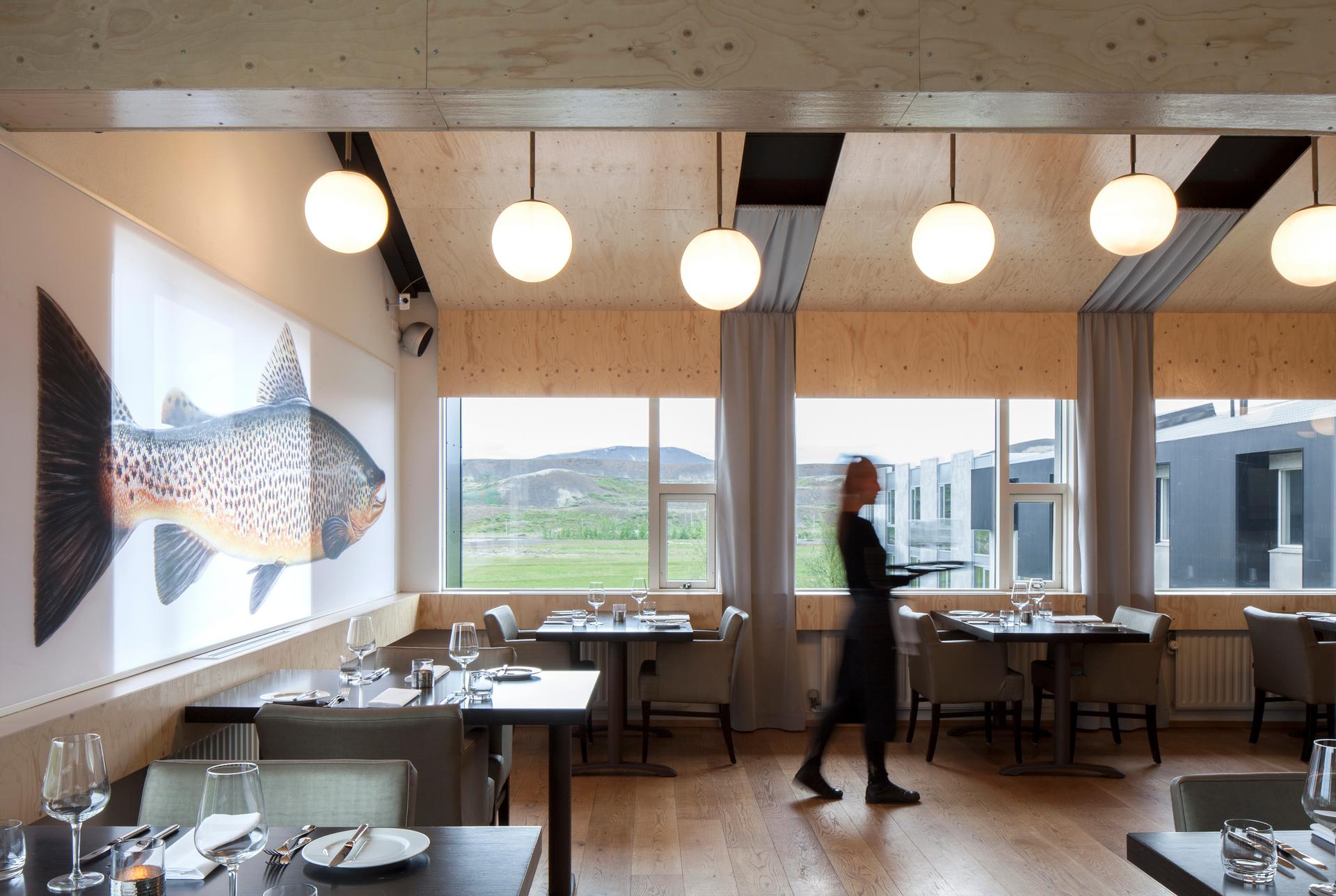 Ion Luxury Adventure Hotel - ICELAND - image 4