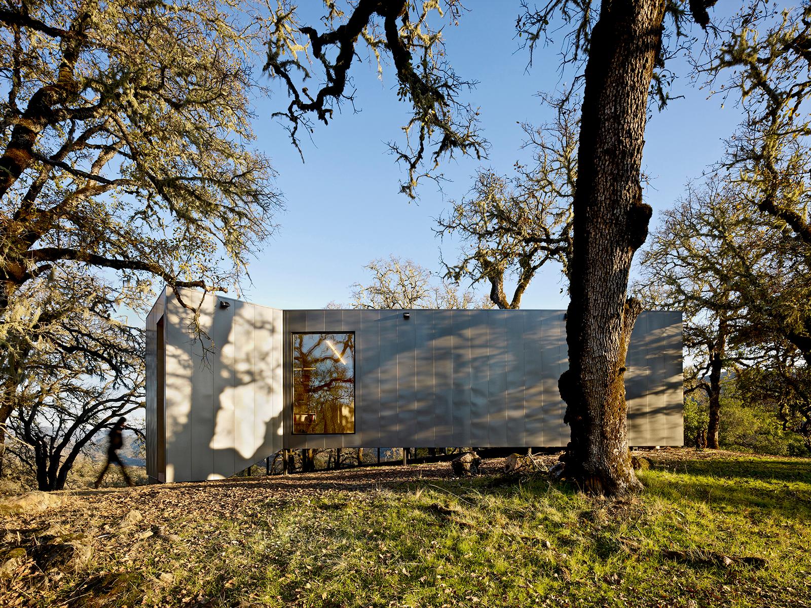 MOOSE ROAD RESIDENCE - image 2