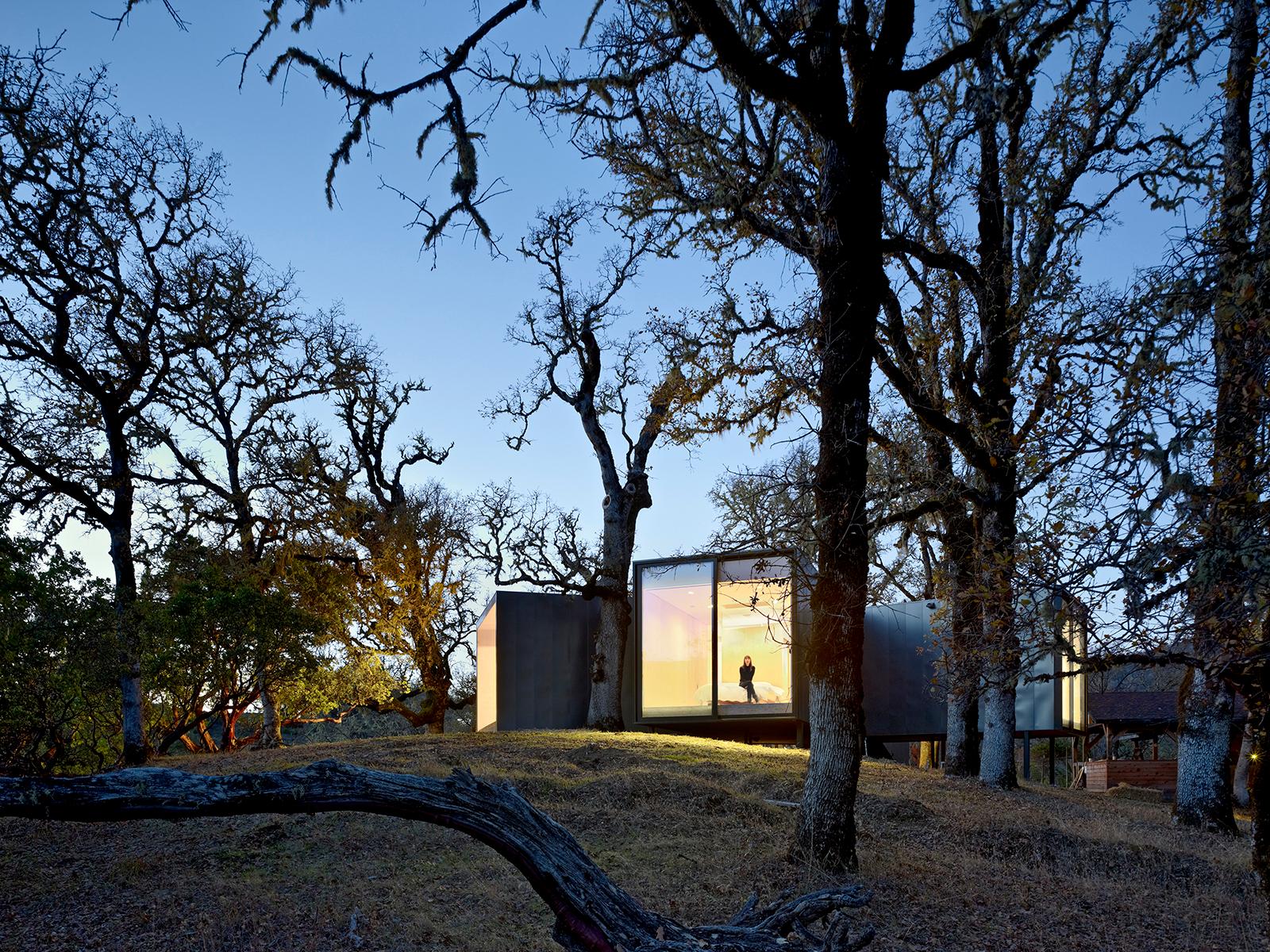 MOOSE ROAD RESIDENCE - image 12