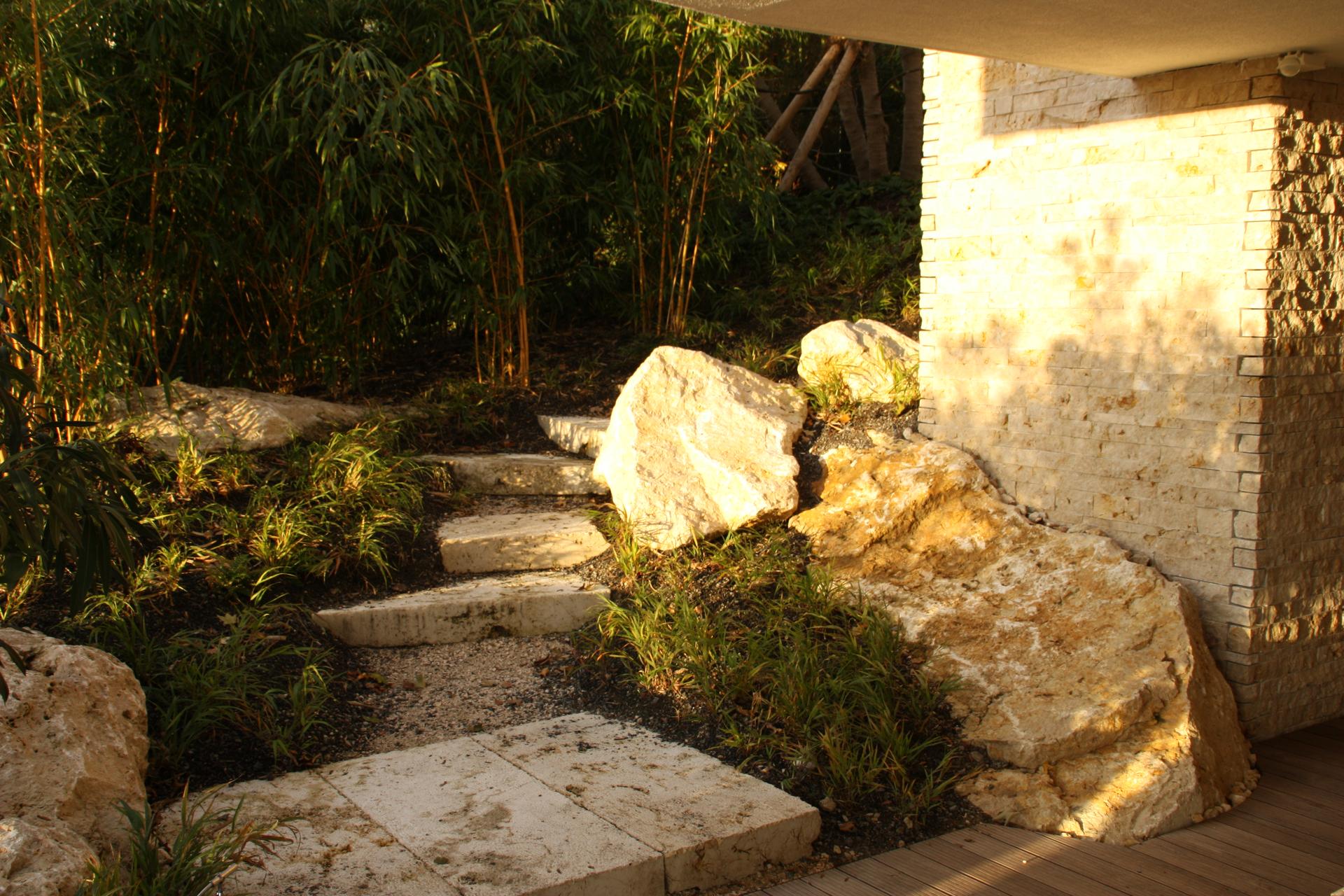 House S - image 2
