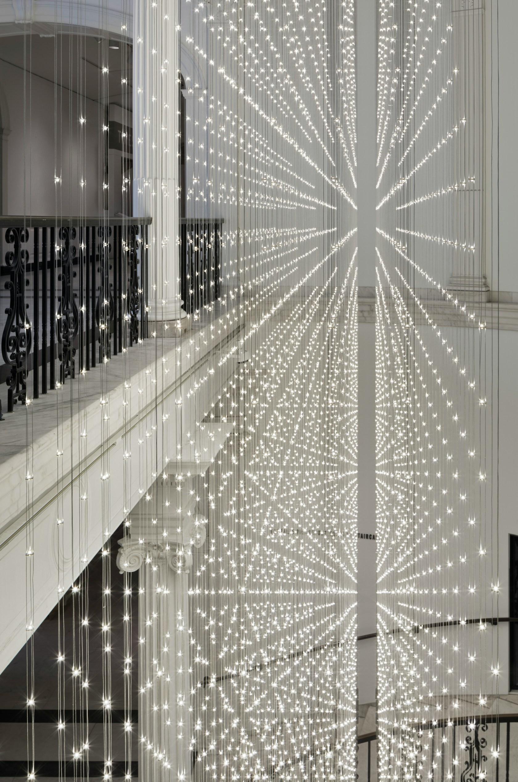 Starlight - image 11