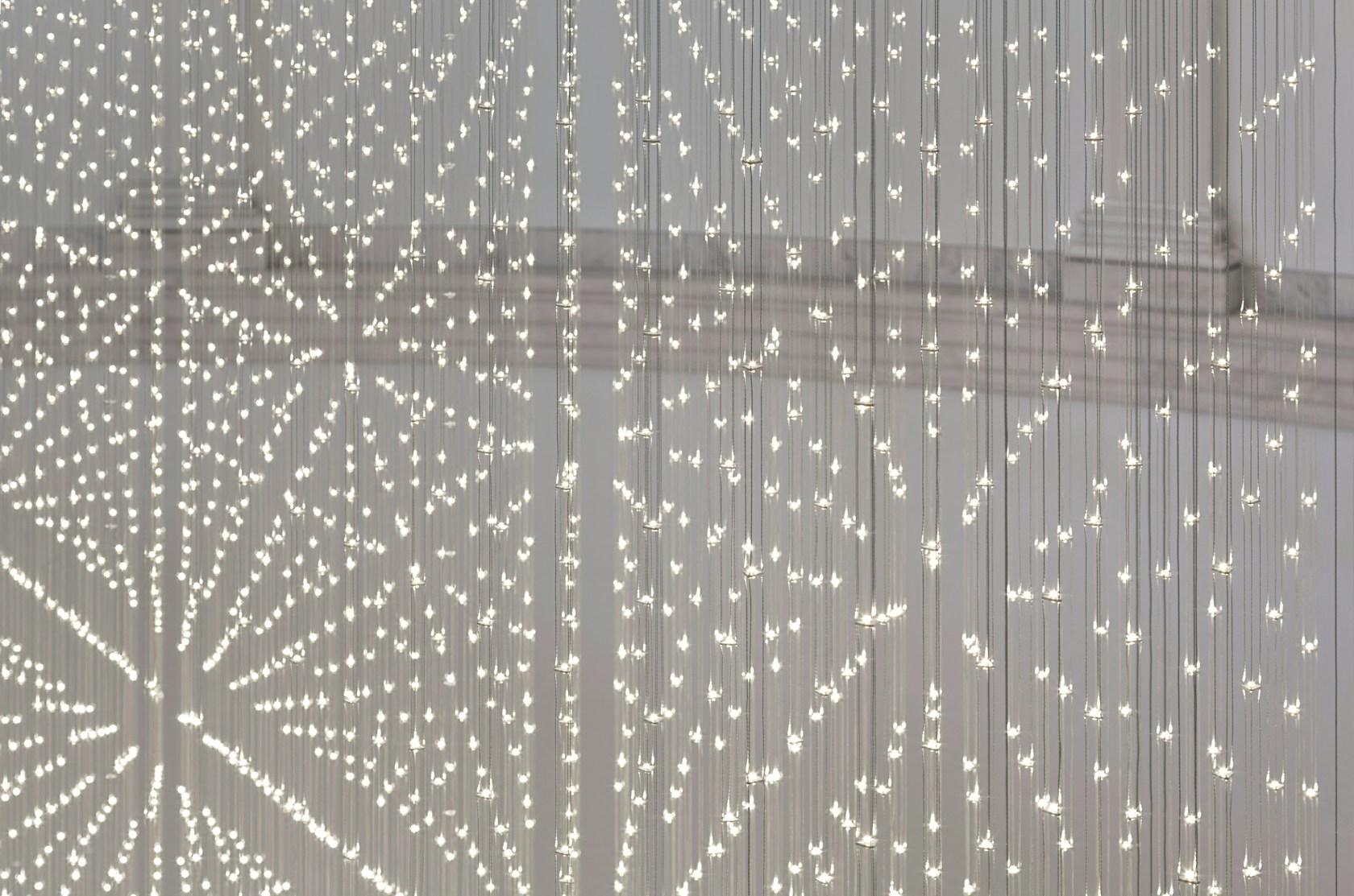 Starlight - image 9