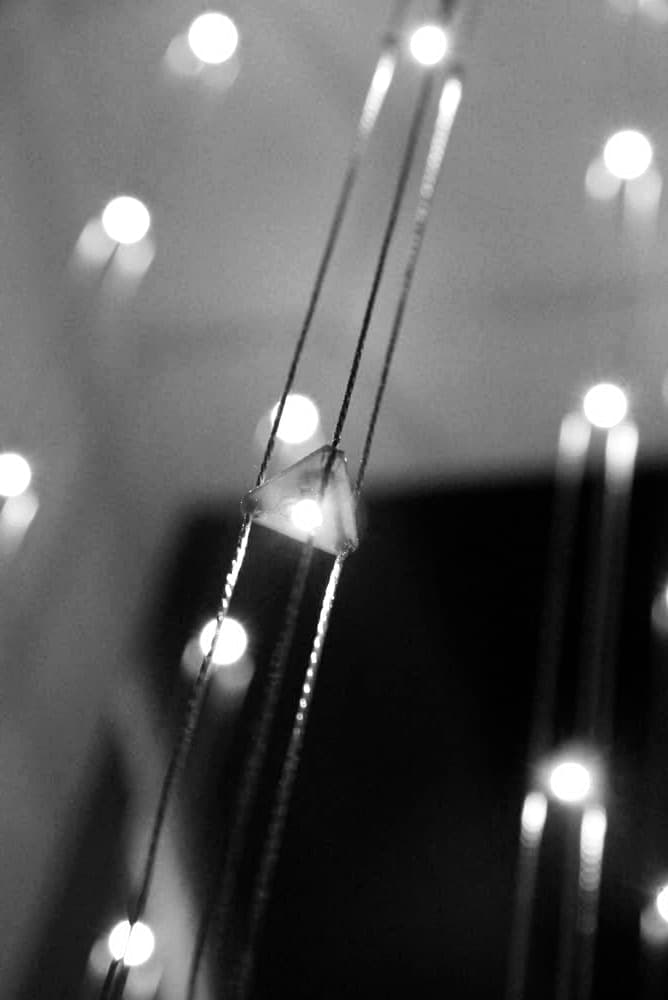 Starlight - image 5