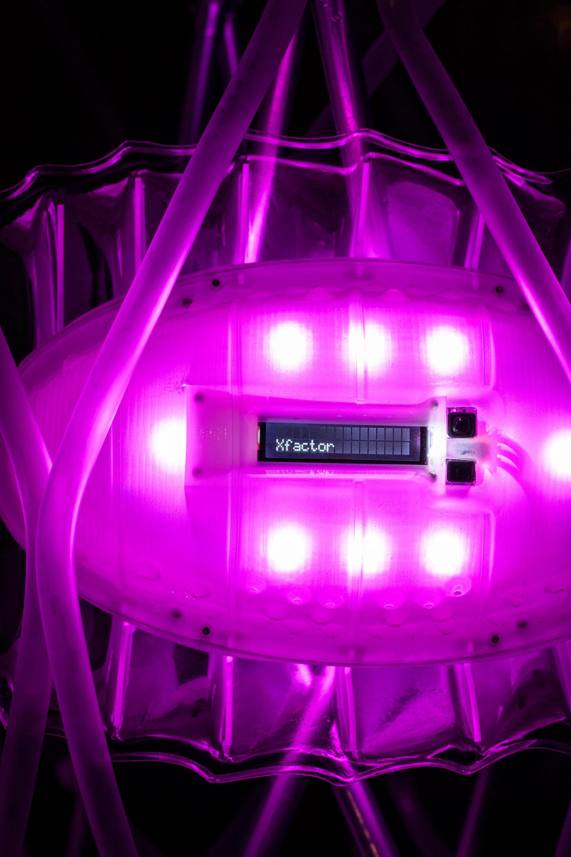 Datagrove - image 11