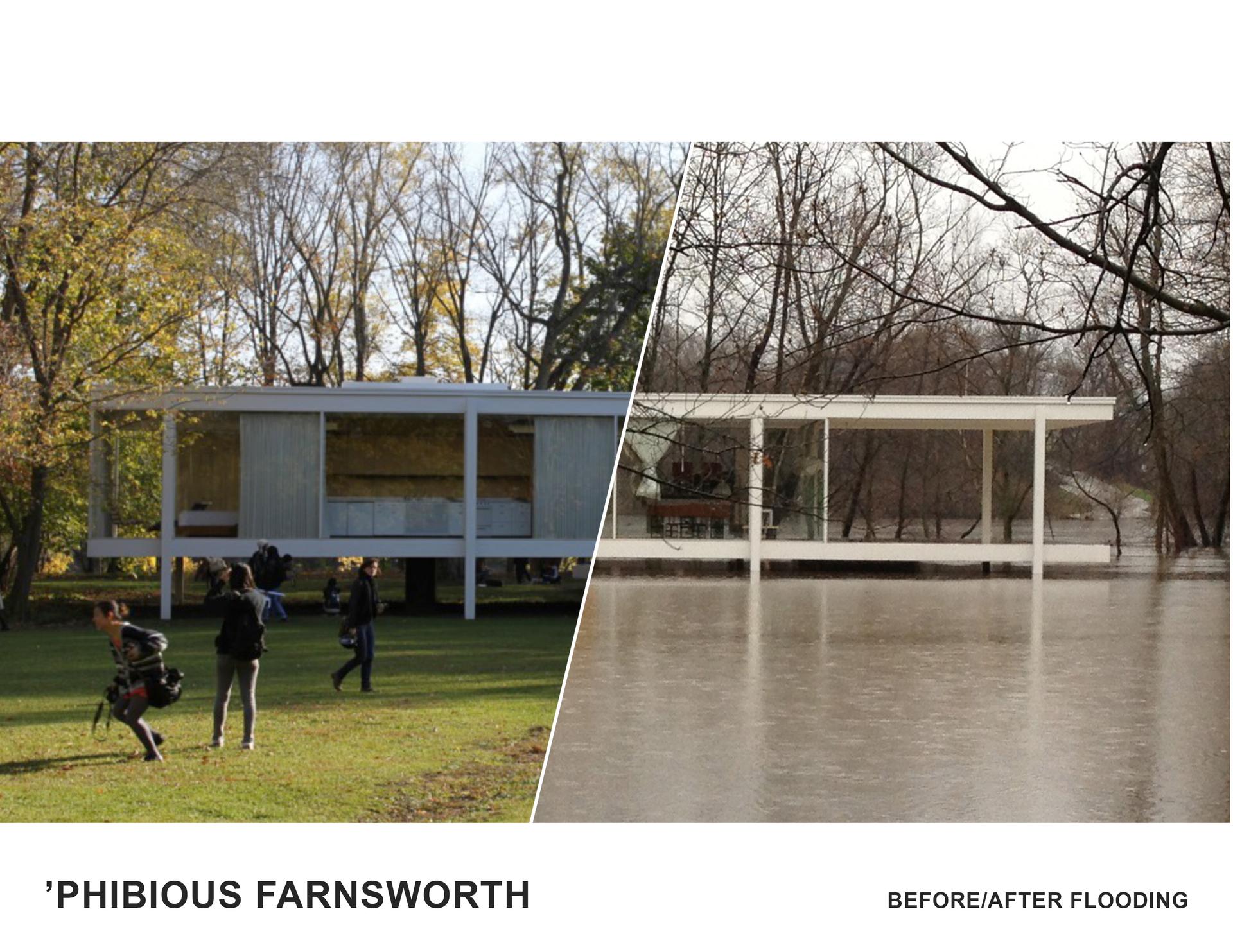 FIBIOUS FARNSWORTH - image 5