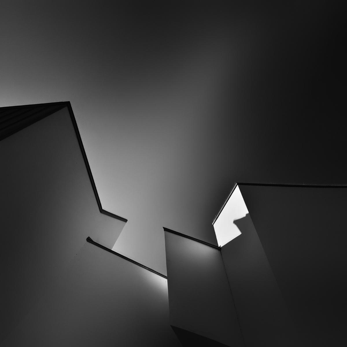 Morphogenesis - image 4