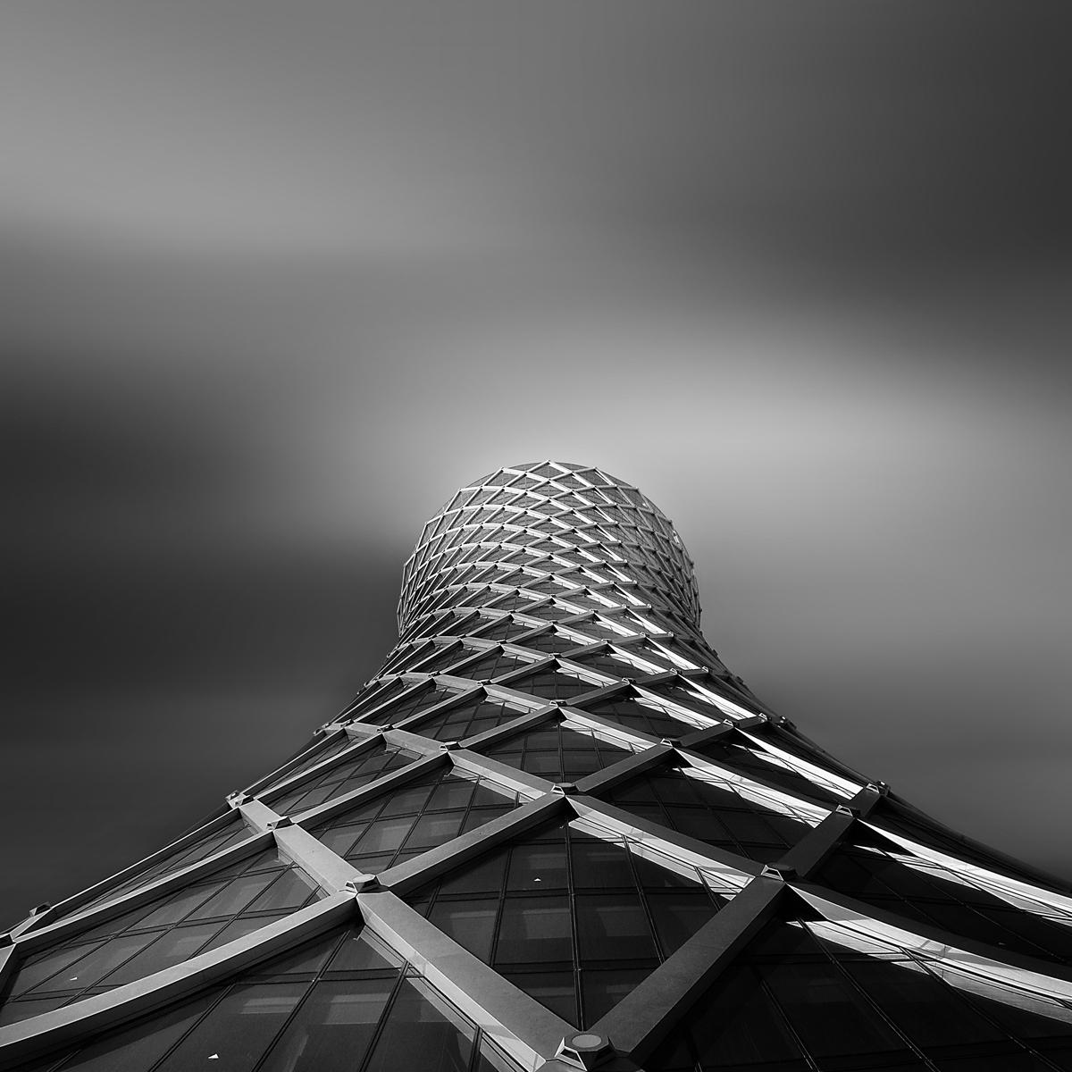 Morphogenesis - image 7