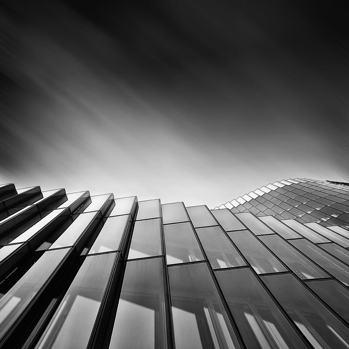 Morphogenesis