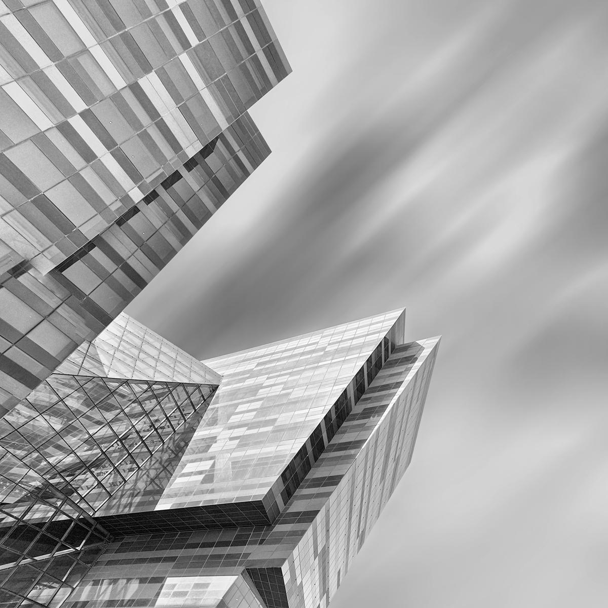 Morphogenesis - image 6