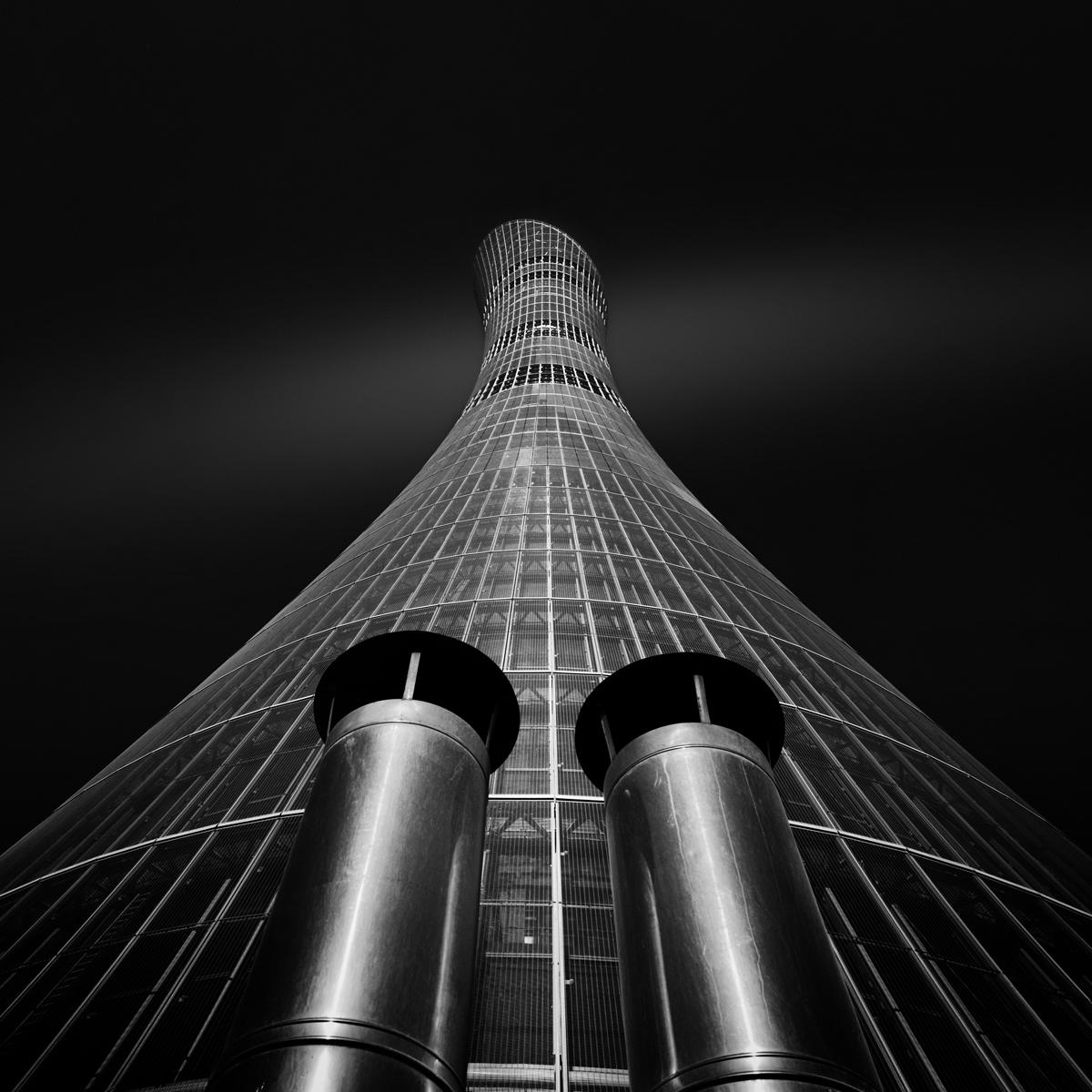 Morphogenesis - image 11