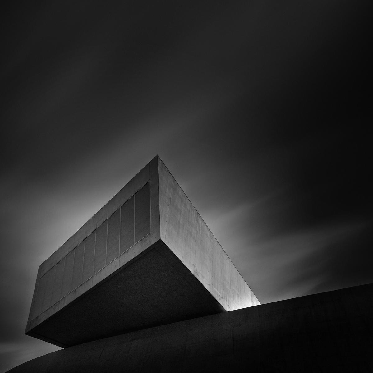Morphogenesis - image 10