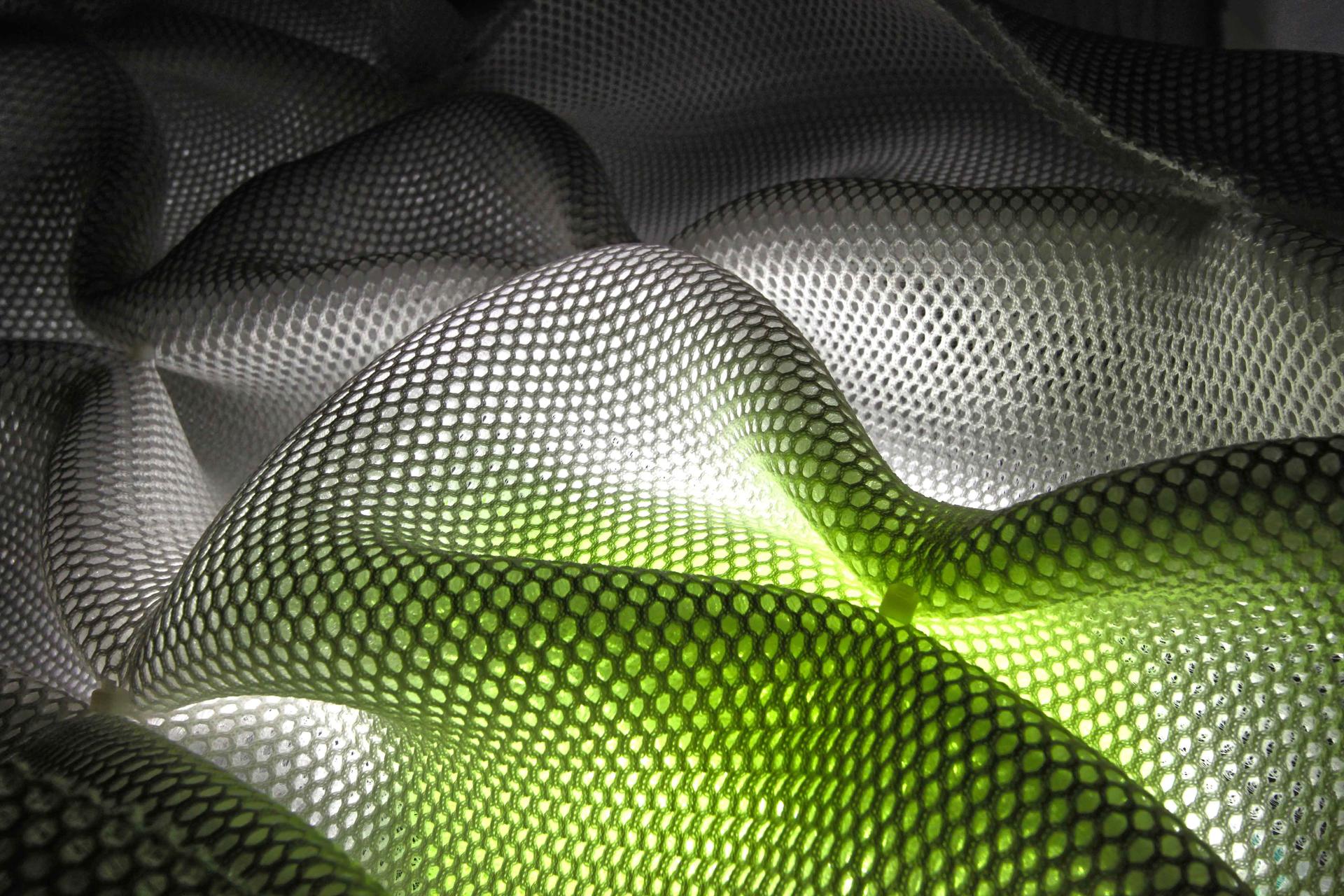 The Magic Garden - Karen Millen RIBA Regent Street Window Display - image 3
