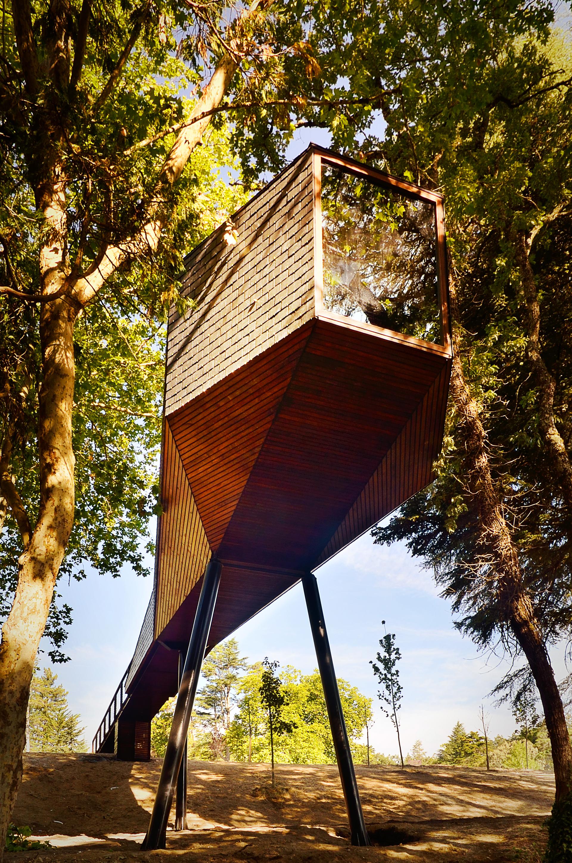 Tree Snake Houses - image 5