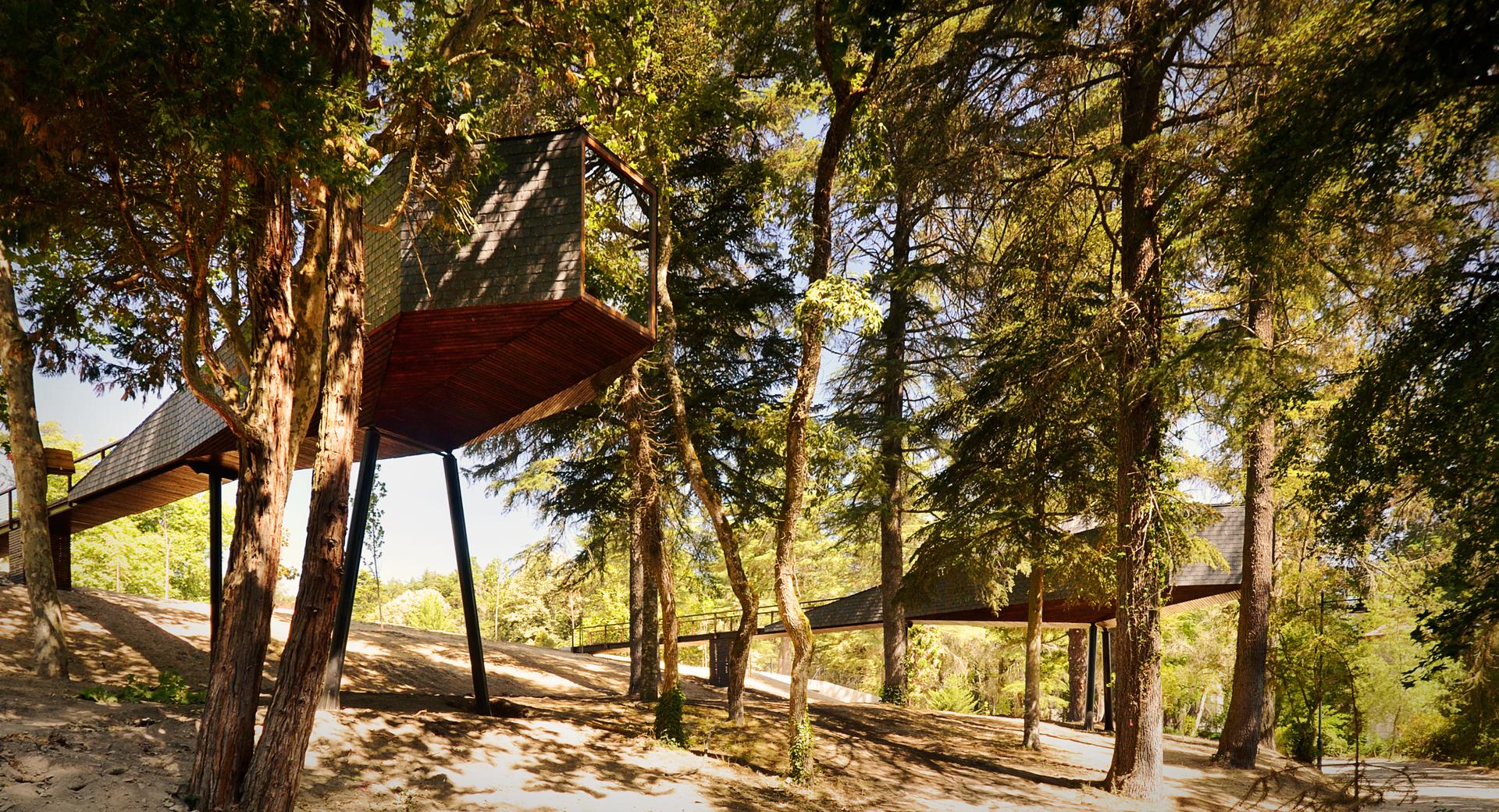 Tree Snake Houses - image 2