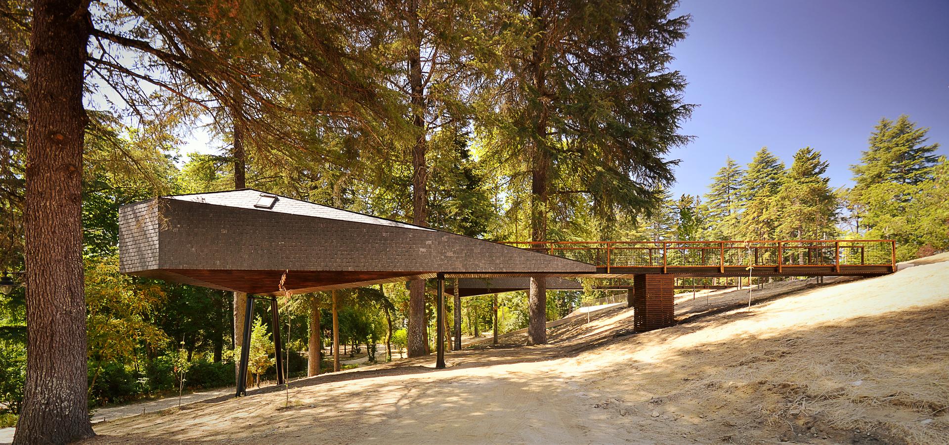 Tree Snake Houses - image 9
