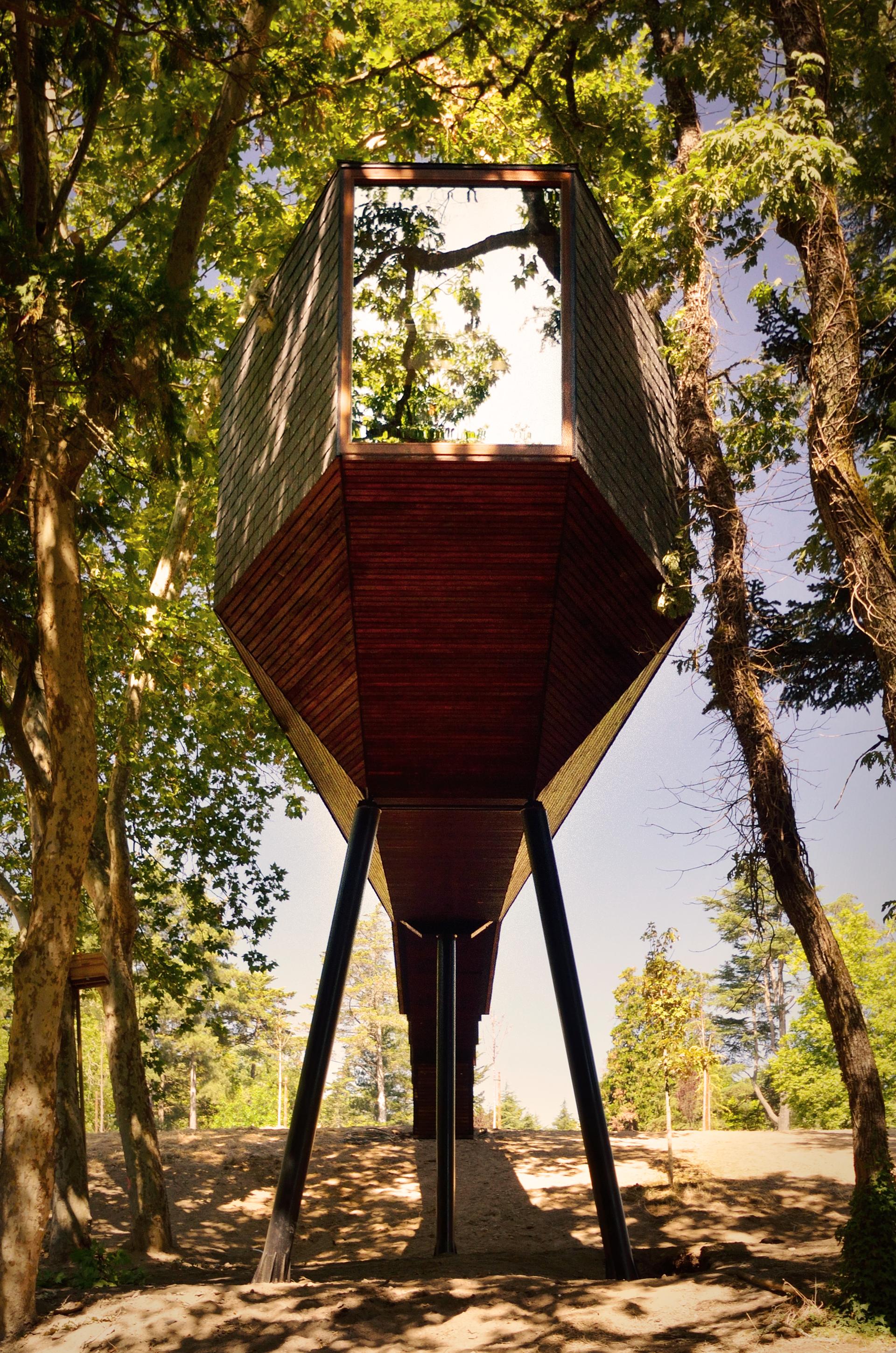 Tree Snake Houses - image 4