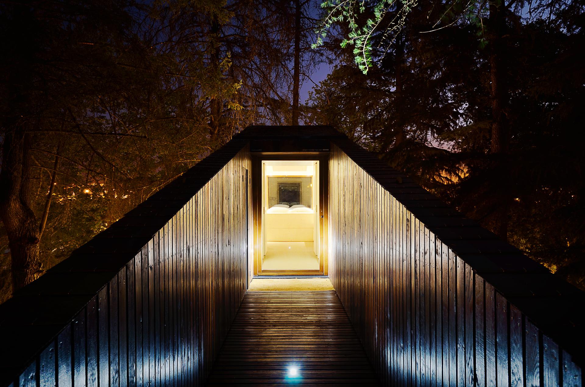Tree Snake Houses - image 10