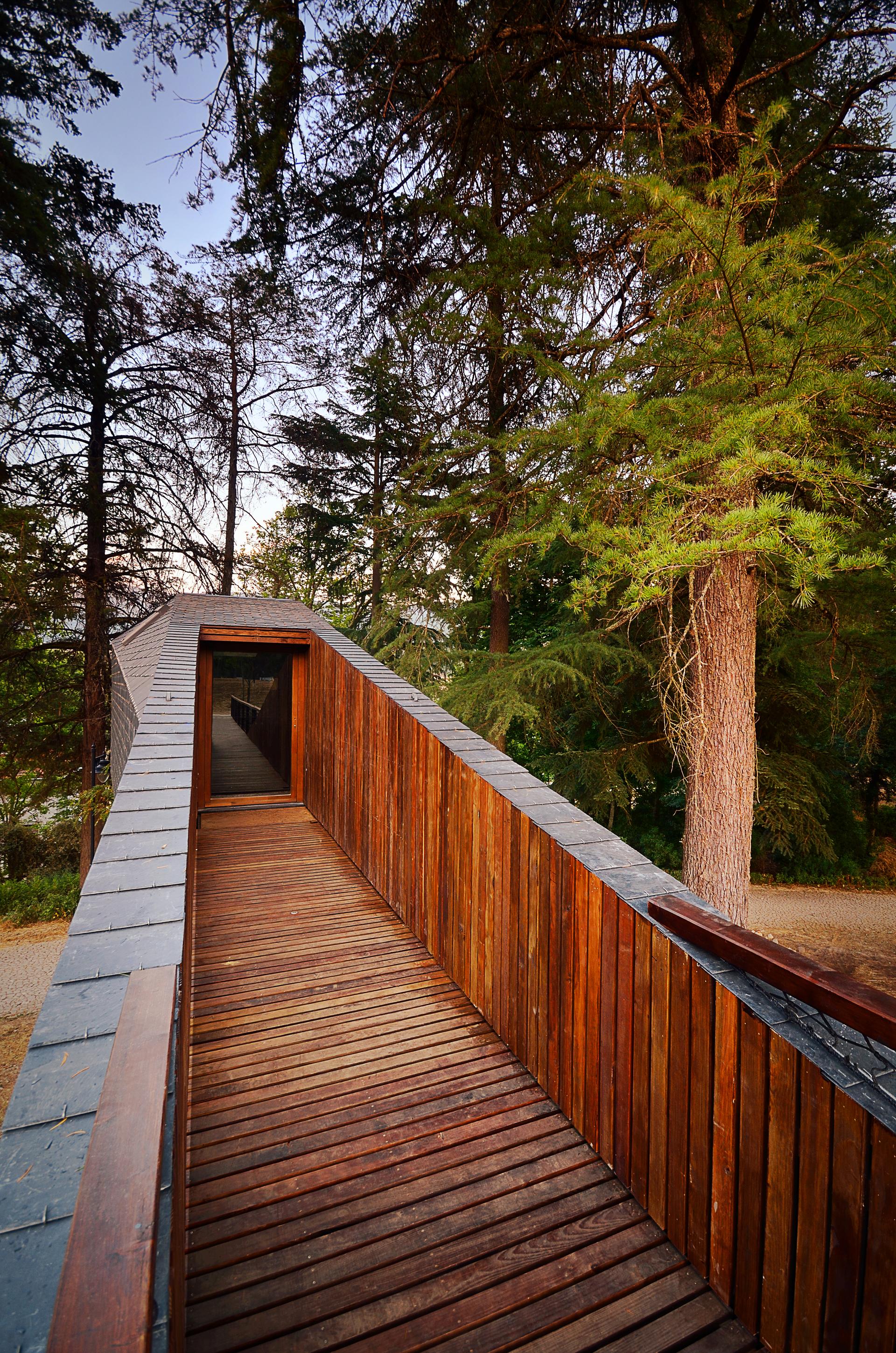 Tree Snake Houses - image 12