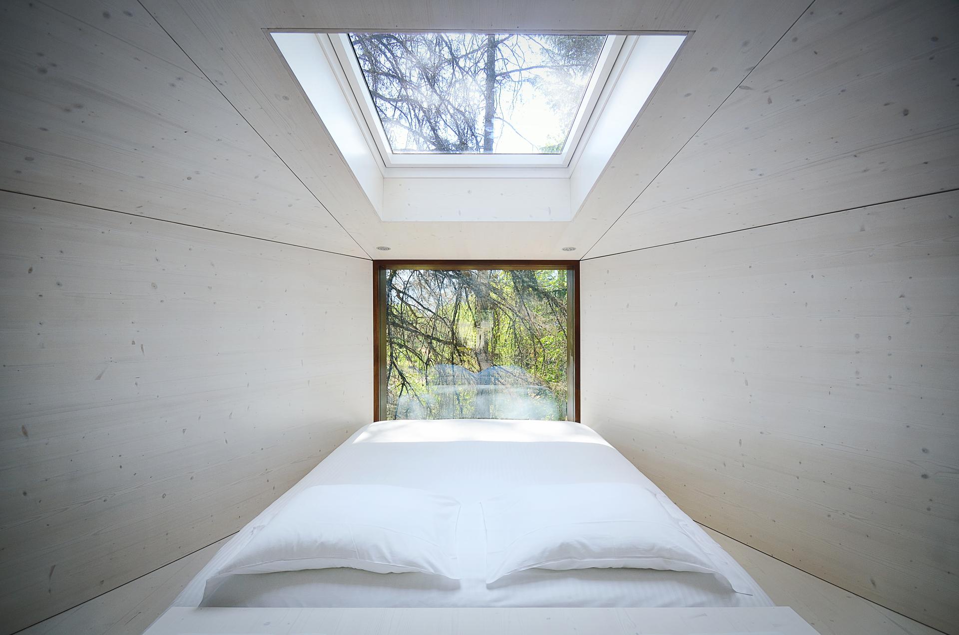 Tree Snake Houses - image 11