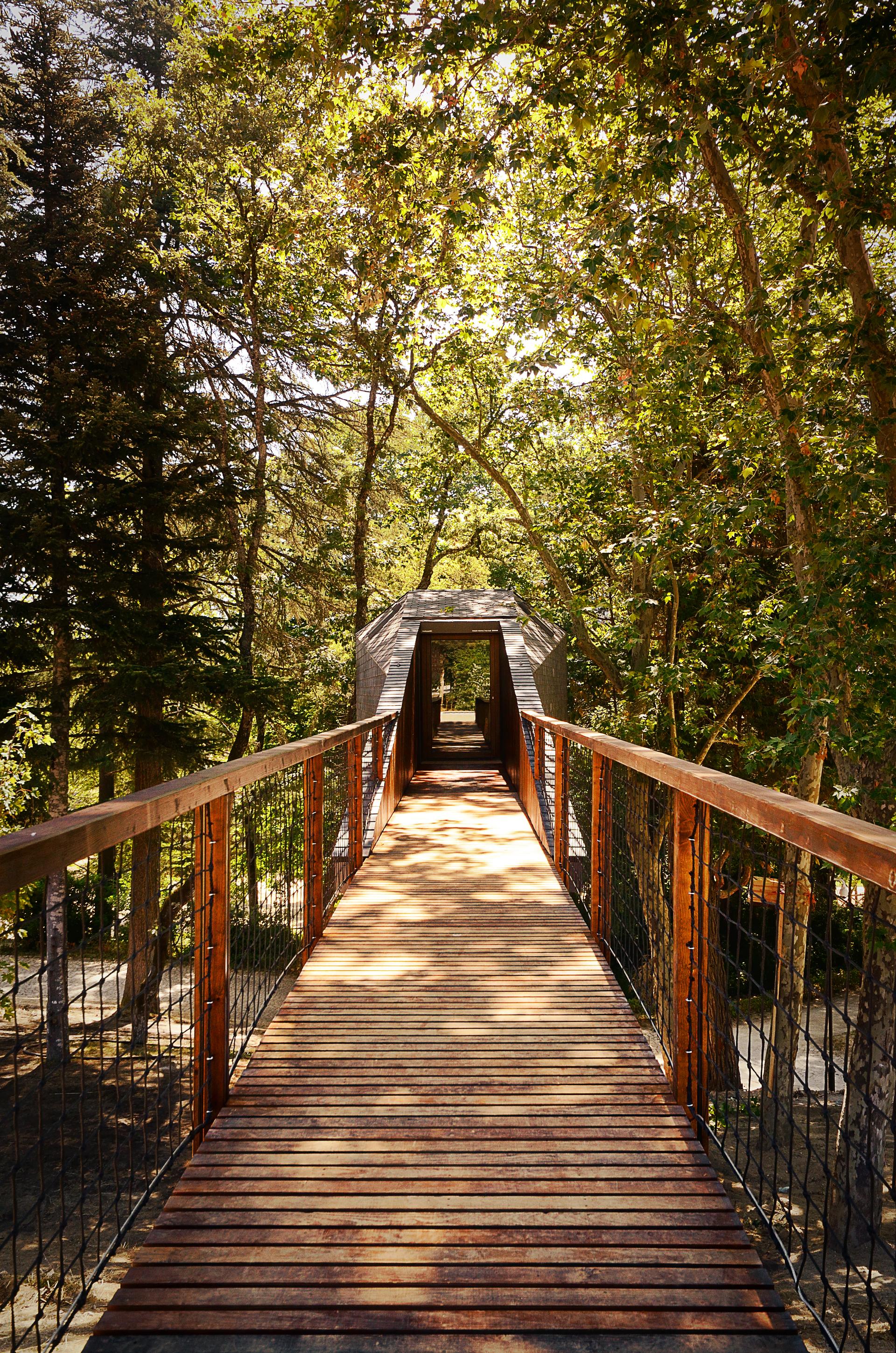 Tree Snake Houses - image 3