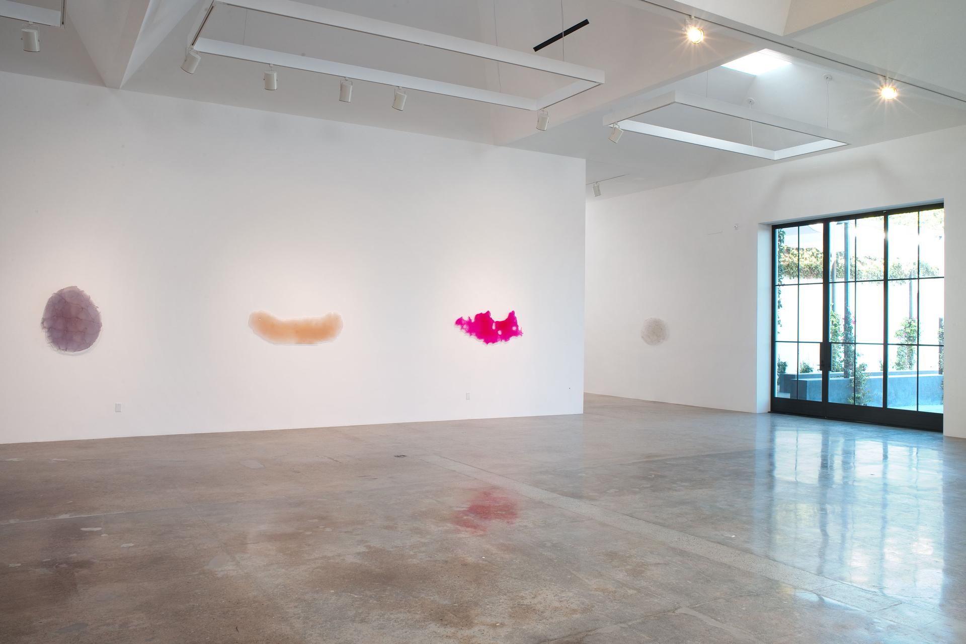 Kayne Griffin Corcoran Gallery - image 9