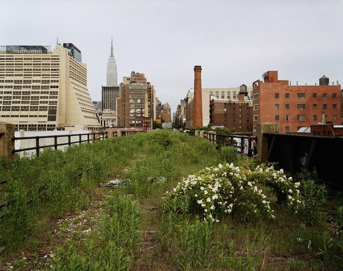 High Line Lighting - image 4