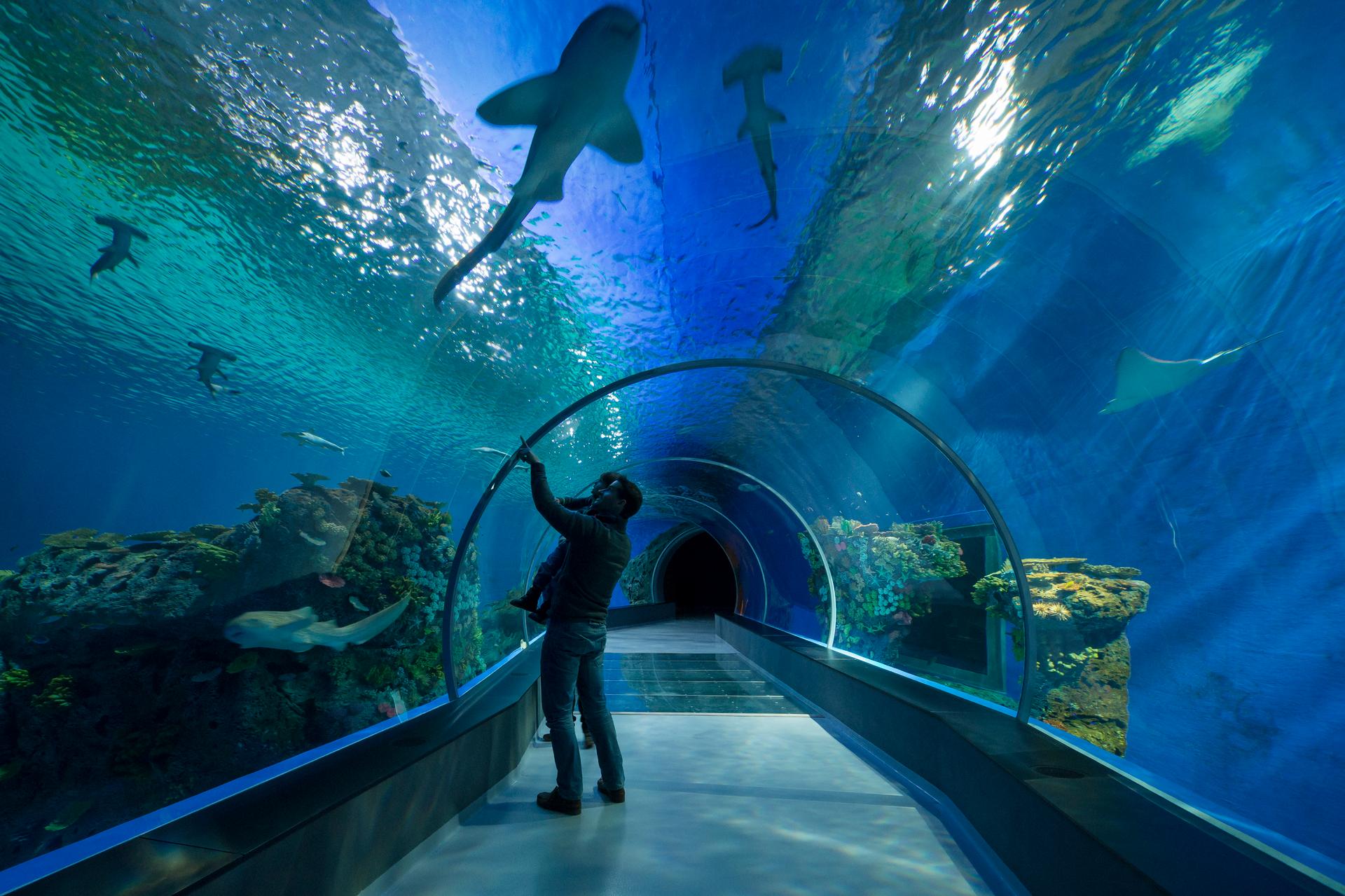 Blue Planet - image 6