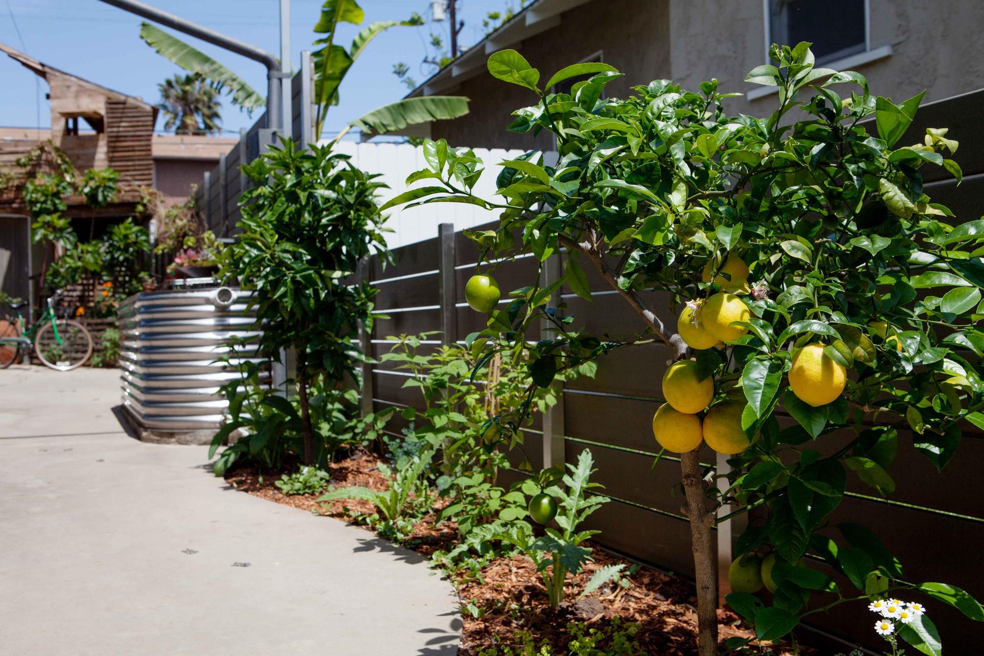 Brooks Residence - image 12