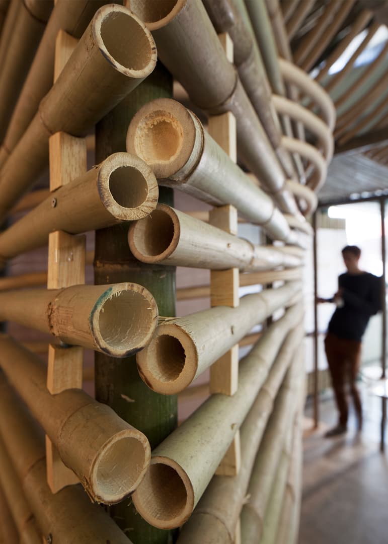 Bamboo Micro-Housing - image 2