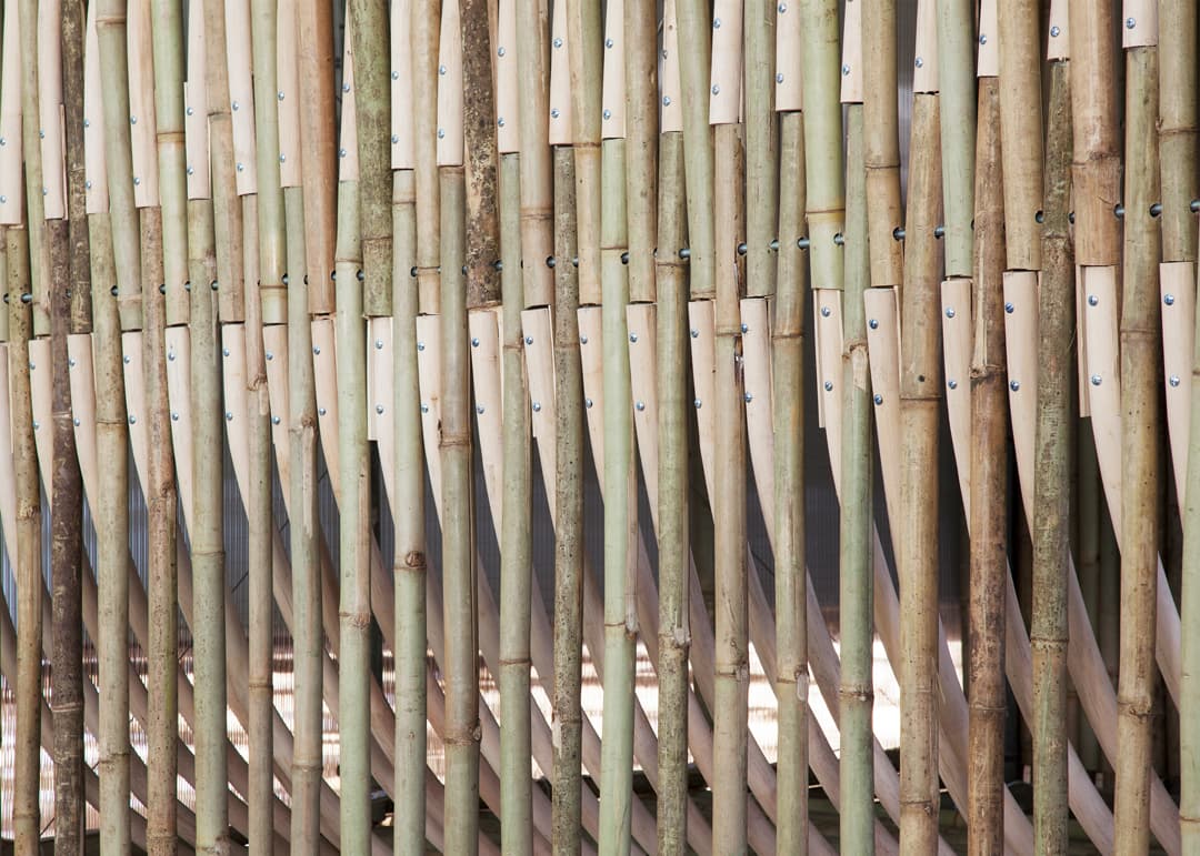 Bamboo Micro-Housing - image 8