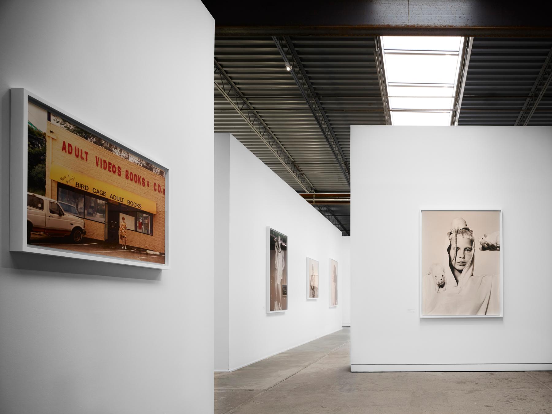 Marfa Contemporary Gallery - image 13