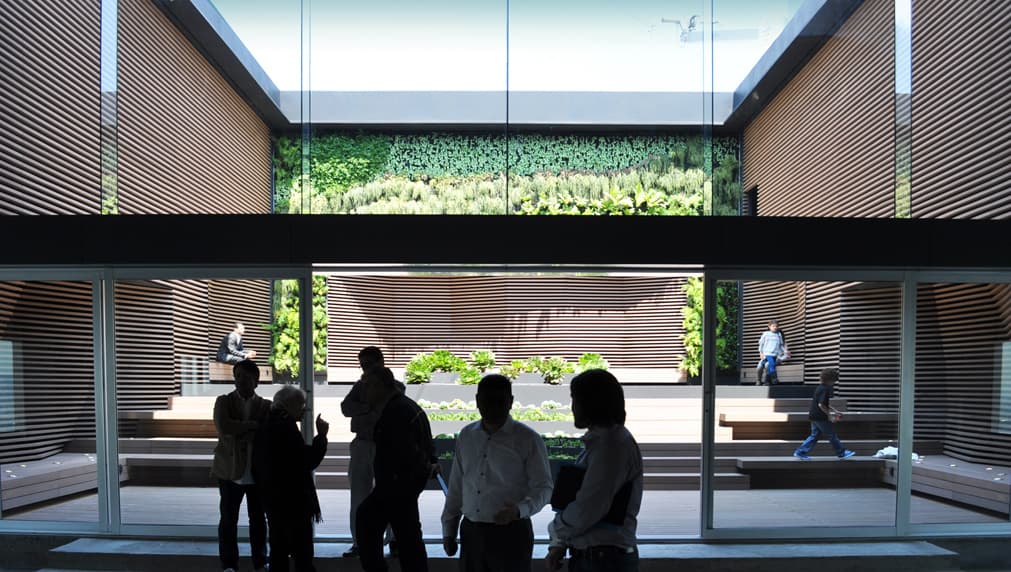 reforma 412 roofgardens - image 4