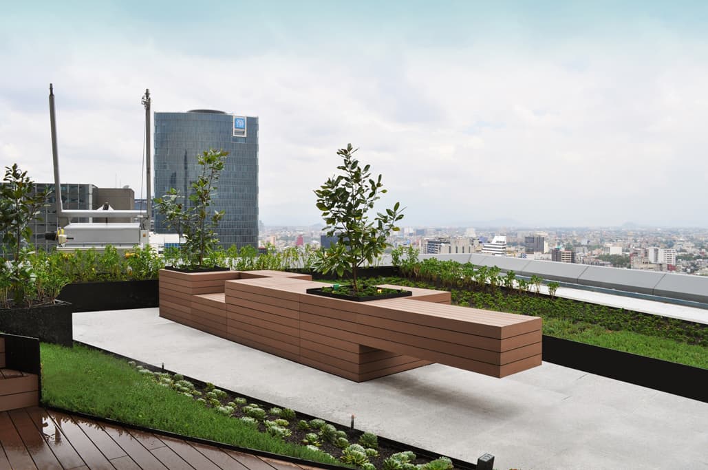 reforma 412 roofgardens - image 5