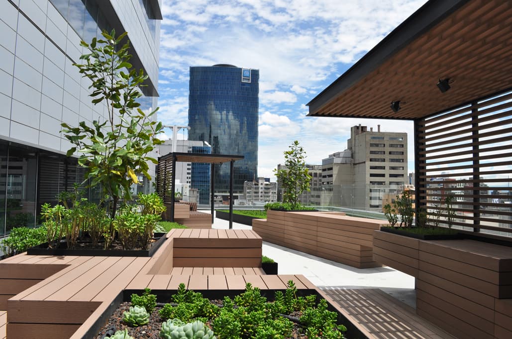 reforma 412 roofgardens - image 10