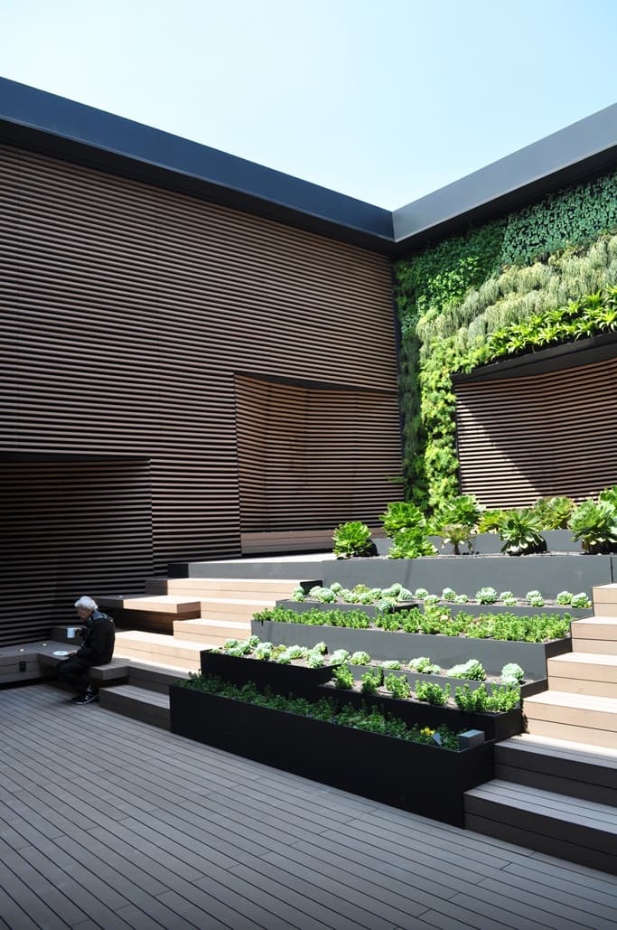 reforma 412 roofgardens - image 12