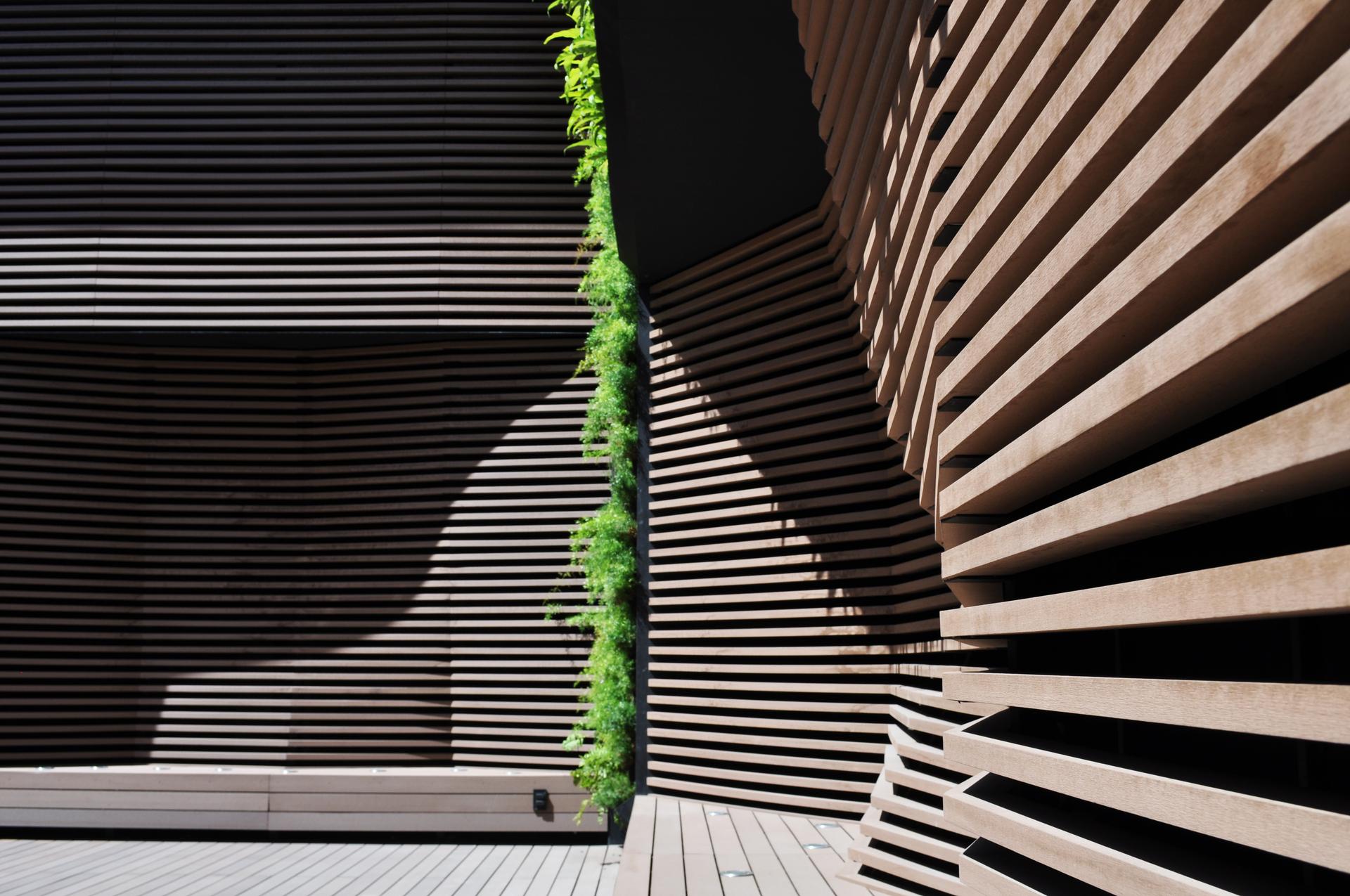 reforma 412 roofgardens - image 6