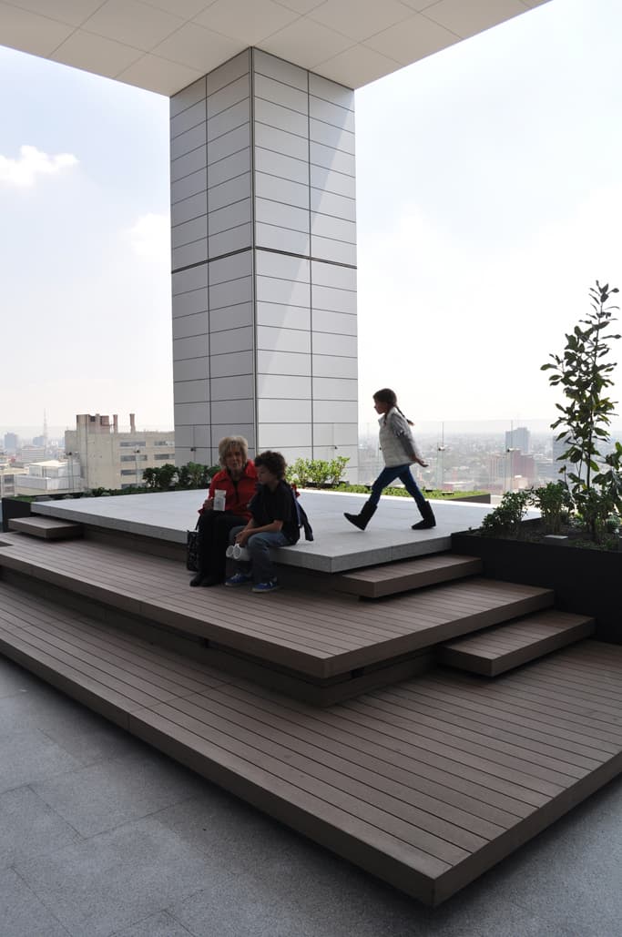 reforma 412 roofgardens - image 11