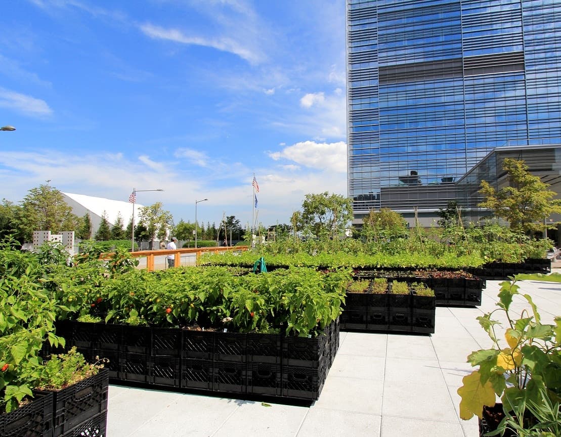 Riverpark Farm - image 4