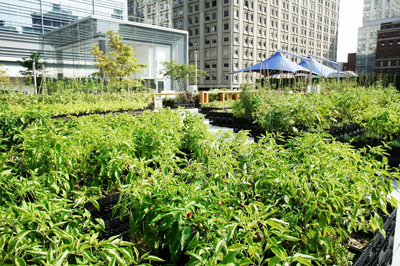 Riverpark Farm - image 8