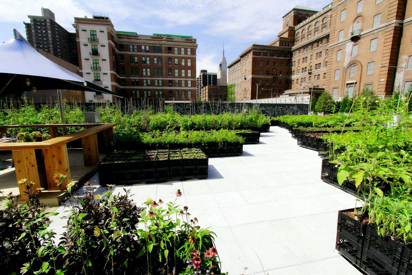Riverpark Farm - image 3