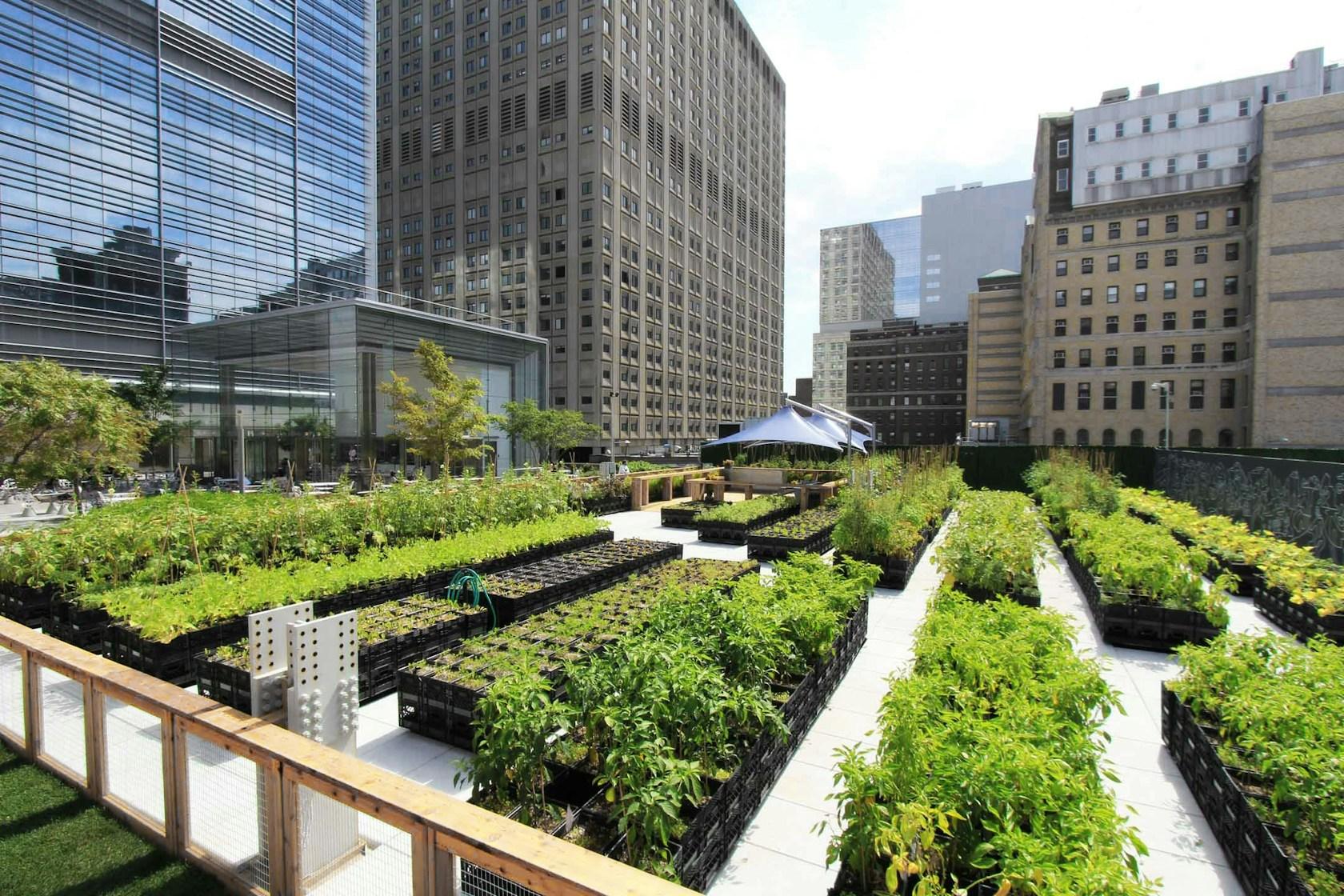 Riverpark Farm - image 2